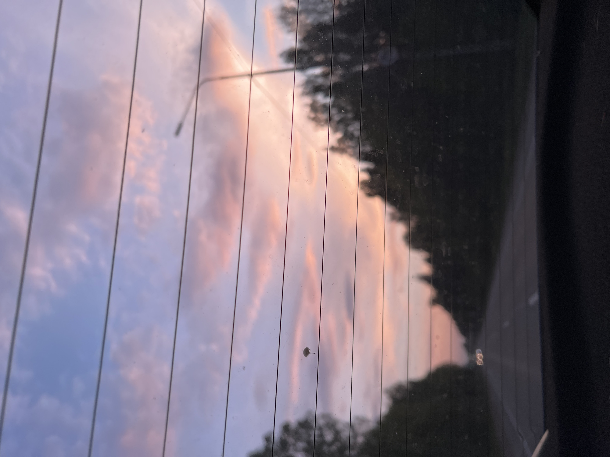 The image shows a view through a car's rear window. The window has defroster lines. Outside, there's a view of the sky with pink and blue clouds, possibly at sunrise or sunset. The reflection of a street light is visible. A tree line is also reflecting on the window. A single dandelion seed is stuck on the window. The location is indiscernible based on visual cues alone. It is unlikely I can detect the location as Berezka, Russia, because the image does not contain information I can use to make that determination.
