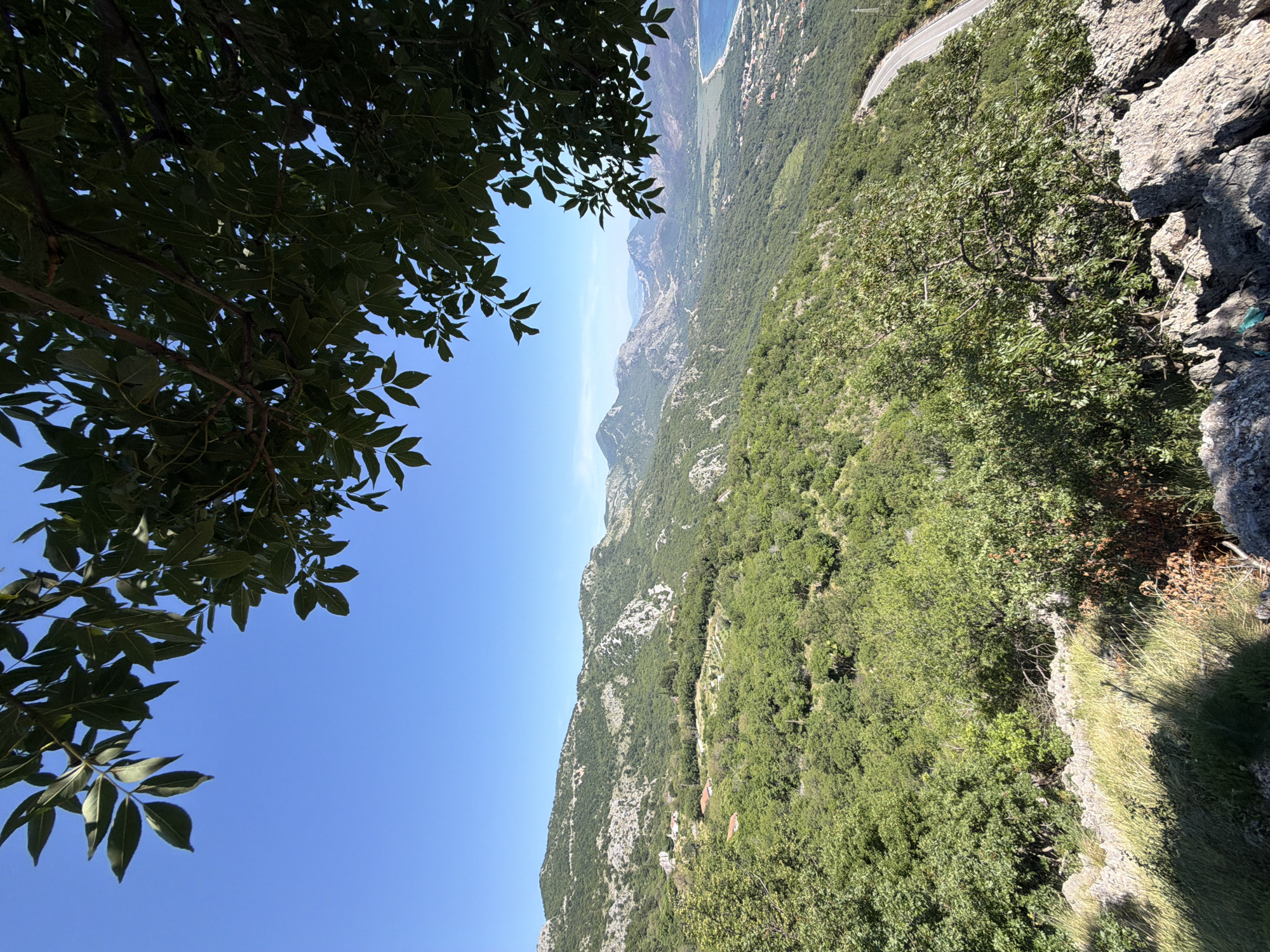 This is a wide, landscape-oriented photograph taken from a high vantage point overlooking a mountainous, coastal region. The foreground is dominated by rugged, grey rocks and green foliage, with branches and leaves from a tree obscuring the top left and right corners of the image.
In the mid-ground, rolling hills covered in dense, green vegetation stretch out. Scattered amongst the trees are a few small, red-roofed buildings, suggesting a rural settlement. Further in the distance, the landscape transitions to more arid, rocky mountains with lighter colored rock formations.
The far background reveals a valley leading to a body of water, likely the sea, which is a vibrant blue. Along the coastline, a small town or village with scattered buildings is visible. A winding road snakes along the edge of the coast and then curves inland, disappearing into the terrain. The sky is a clear, bright blue with no clouds.
The scene depicts a natural, mountainous landscape with signs of human habitation in the form of a small settlement and a road. The vantage point suggests the photograph was taken from a hiking trail or viewpoint in the hills above the coast. The location is identified as Novoselje, Montenegro.