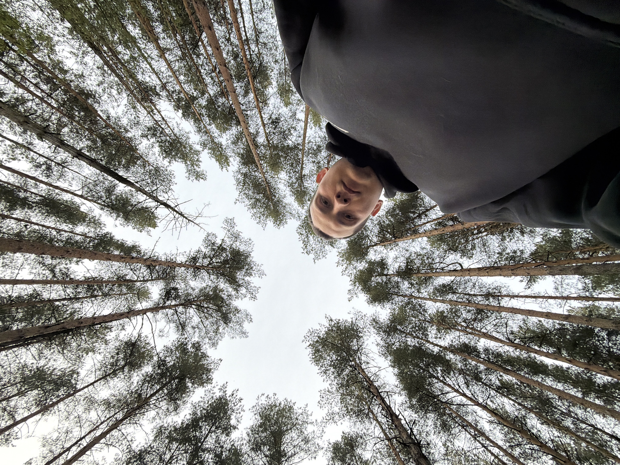 The image shows a low-angle view of a person standing in a forest in Прикамский, Russia. Tall, slender trees surround the subject, their canopies reaching towards a pale, overcast sky. The person, positioned in the upper right of the frame, is wearing a dark hooded garment. The overall perspective creates a sense of being surrounded by the forest.