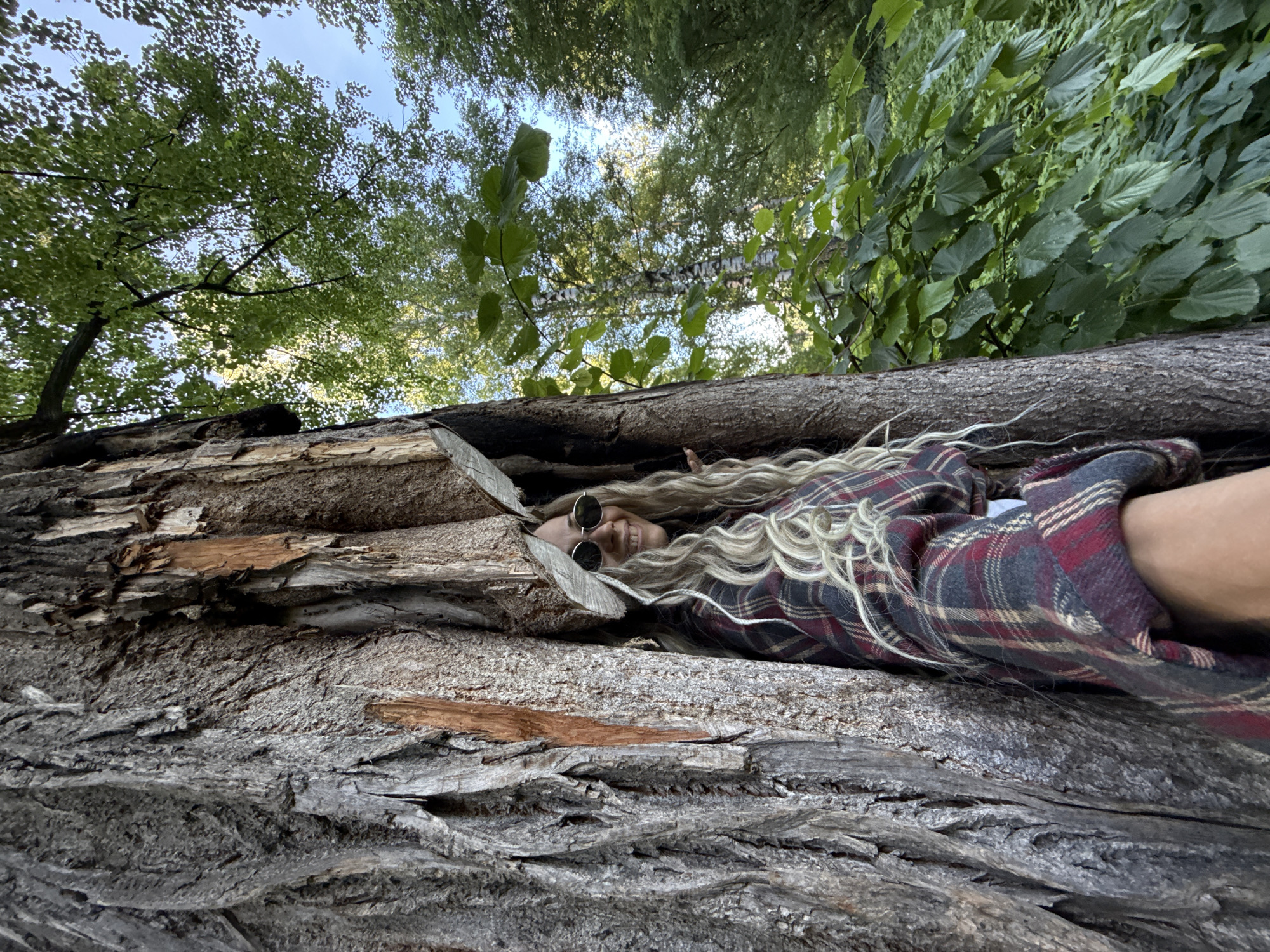 This image captures a serene outdoor scene, depicting a woman resting among large tree logs in a forest environment. The perspective is unique, taken from a low angle, looking upwards towards the sky and tree canopy.
The main subject is a woman with long, wavy blonde hair that spreads around her head. She is wearing a red, black, and white/grey plaid shirt and round sunglasses, with a slight smile visible on her face, conveying a sense of relaxation or contentment. She appears to be lying horizontally, nestled between two massive, weathered tree trunks or logs.
These logs dominate the foreground and midground, showcasing their rough, textured bark with visible cracks and natural imperfections. Above the logs, a dense and lush canopy of green trees and foliage fills the upper half of the frame. Bright patches of a clear sky are visible through the leaves, indicating that it is daytime, likely with good weather. The setting suggests a deep connection with nature, possibly within a wooded area in Rusanovo, Russia. There is no visible text in the image.