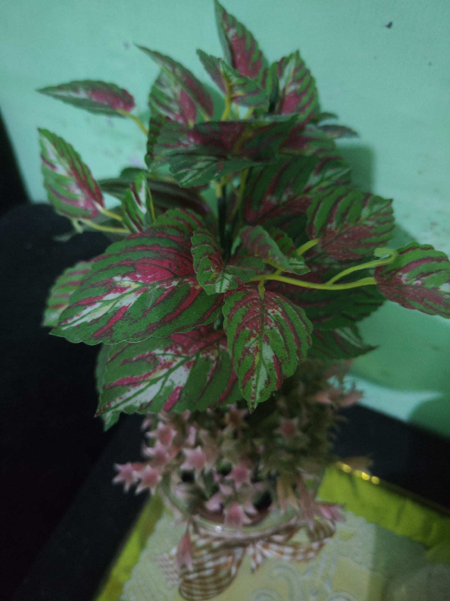 A close-up, high-angle shot focuses on a vibrant, artificial plant with large, patterned leaves in shades of green, pink, and white. The plant is in a pot adorned with a decorative ribbon, and pink floral accents are visible at the base of the plant. The background consists of a textured, light green wall. The scene appears to be an indoor setting in Sroyo, Indonesia.