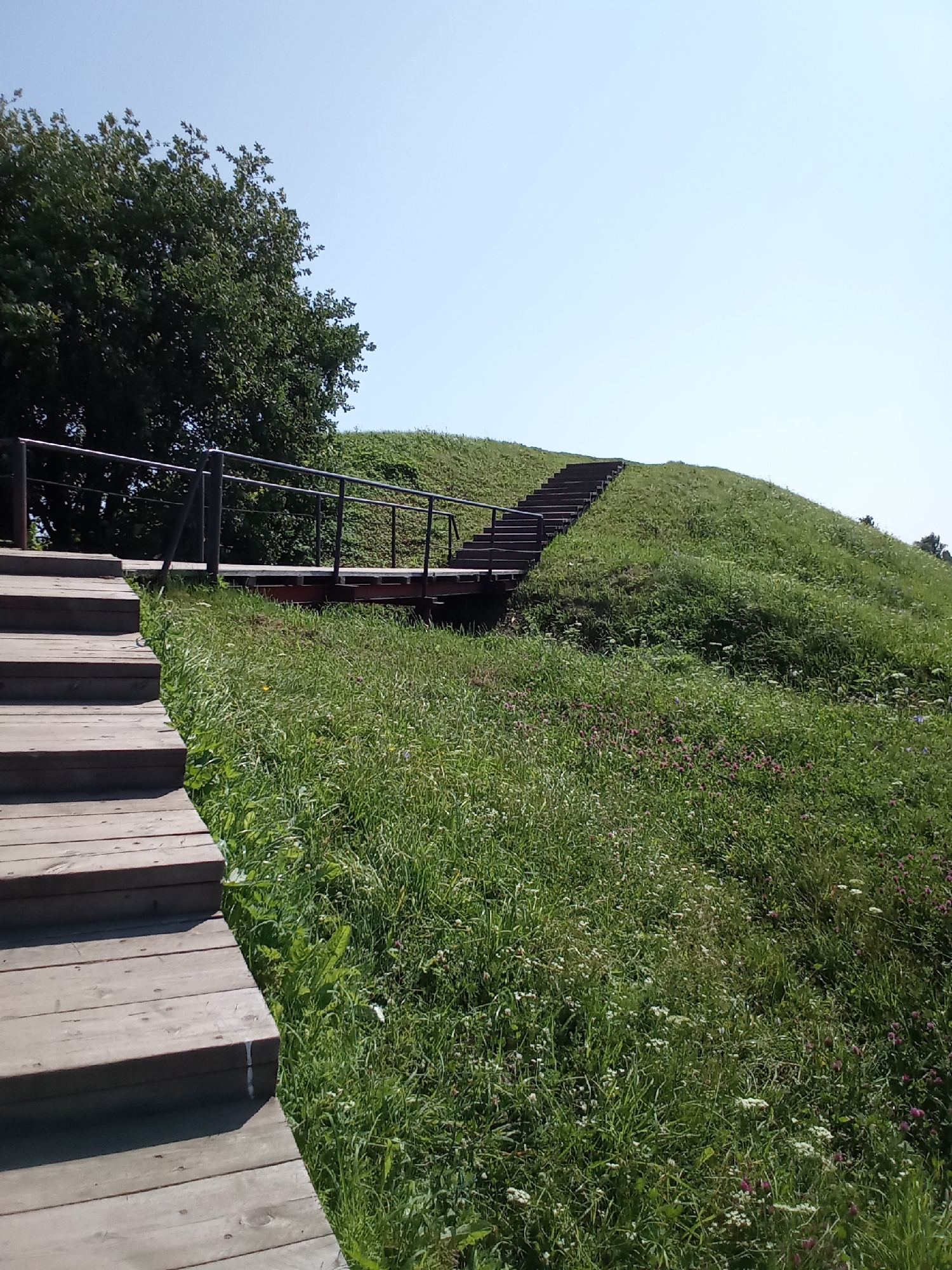 This image captures a portion of a mound topped with a grassy expanse and a wooden staircase leading up its side. The staircase on the left is made of wide, light-colored wooden planks and appears to be an external structure. A dark metal railing with vertical supports lines the staircase and continues across a wooden bridge, part of which is visible. This bridge also has dark metal railings. The mound itself is covered in lush green grass dotted with small wildflowers, including some purple clover-like blooms and small white flowers. A large, dense green tree is visible on the left side of the frame, behind the railing and near the start of the staircase. The sky is a clear, pale blue. The scene is likely part of an outdoor historical site or park, possibly relating to ancient fortifications or burial mounds, given its context in Belozersk, Russia, a city known for its historical significance and archeological sites, including burial mounds.
