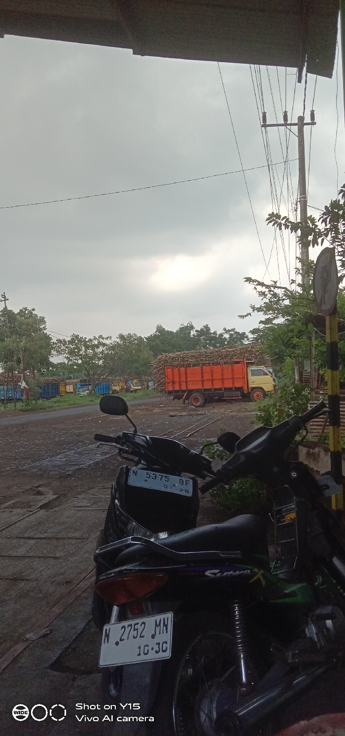 The image depicts an outdoor industrial or agricultural staging area under an overcast sky in Sebaung, Indonesia. In the foreground, two motorcycles are parked. The closest motorcycle, partially visible on the right, is black with green accents and displays an Indonesian license plate "N 2752 MN" with an expiry date of "10.3C". Behind it and slightly to the left, another black scooter is parked, showing license plate "N 5375 GF" and an expiry date of "01.28". The ground is a dark, unpaved surface, possibly dirt or gravel, with visible tire tracks or rudimentary railway lines.
In the midground, a wide, unpaved area extends towards a cluster of trucks. A prominent orange truck with a light yellow cab, fully loaded with sugarcane stalks, is positioned slightly right of center. Behind it, several other trucks of varying colors (blue, yellow) are visible, some also appearing to be loaded. To the right, a utility pole with multiple overhead lines stands next to a striped black and yellow signpost. The background features dense green foliage from numerous trees, contrasting with the grey, cloudy sky. No individuals are visible in the scene.