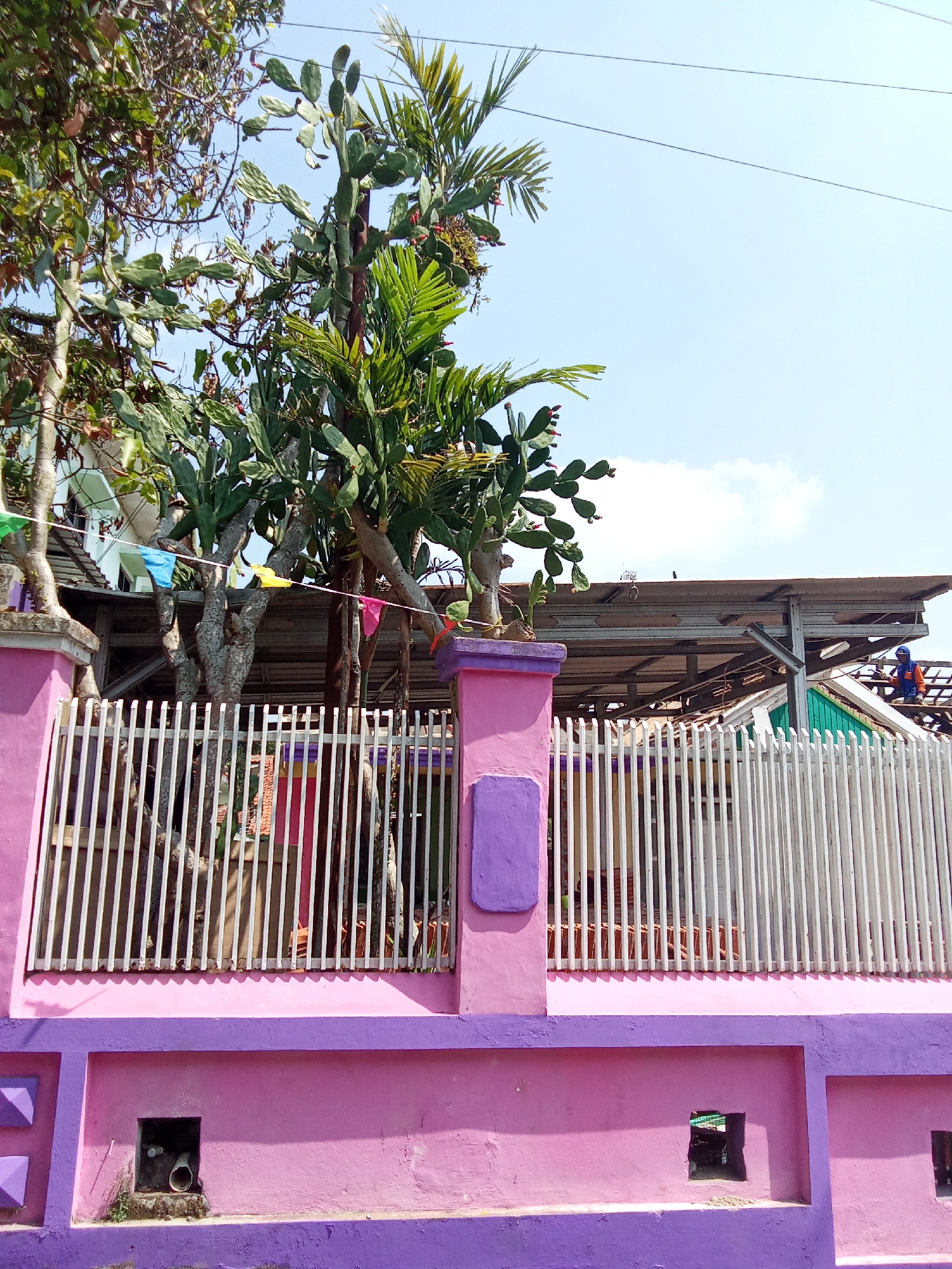 The image shows a pink concrete wall topped with a white metal fence, behind which are various trees, including a prickly pear cactus and a palm tree. Beyond the fence, a partially constructed building with a corrugated metal roof is visible. A construction worker in an orange and blue uniform is seen on the roof. Small colorful flags are strung across the area between the fence and the building. The scene appears to be in a residential or semi-developed area. The sky is blue with a few scattered clouds. The location is identified as Subang, Indonesia, suggesting a tropical or subtropical climate.