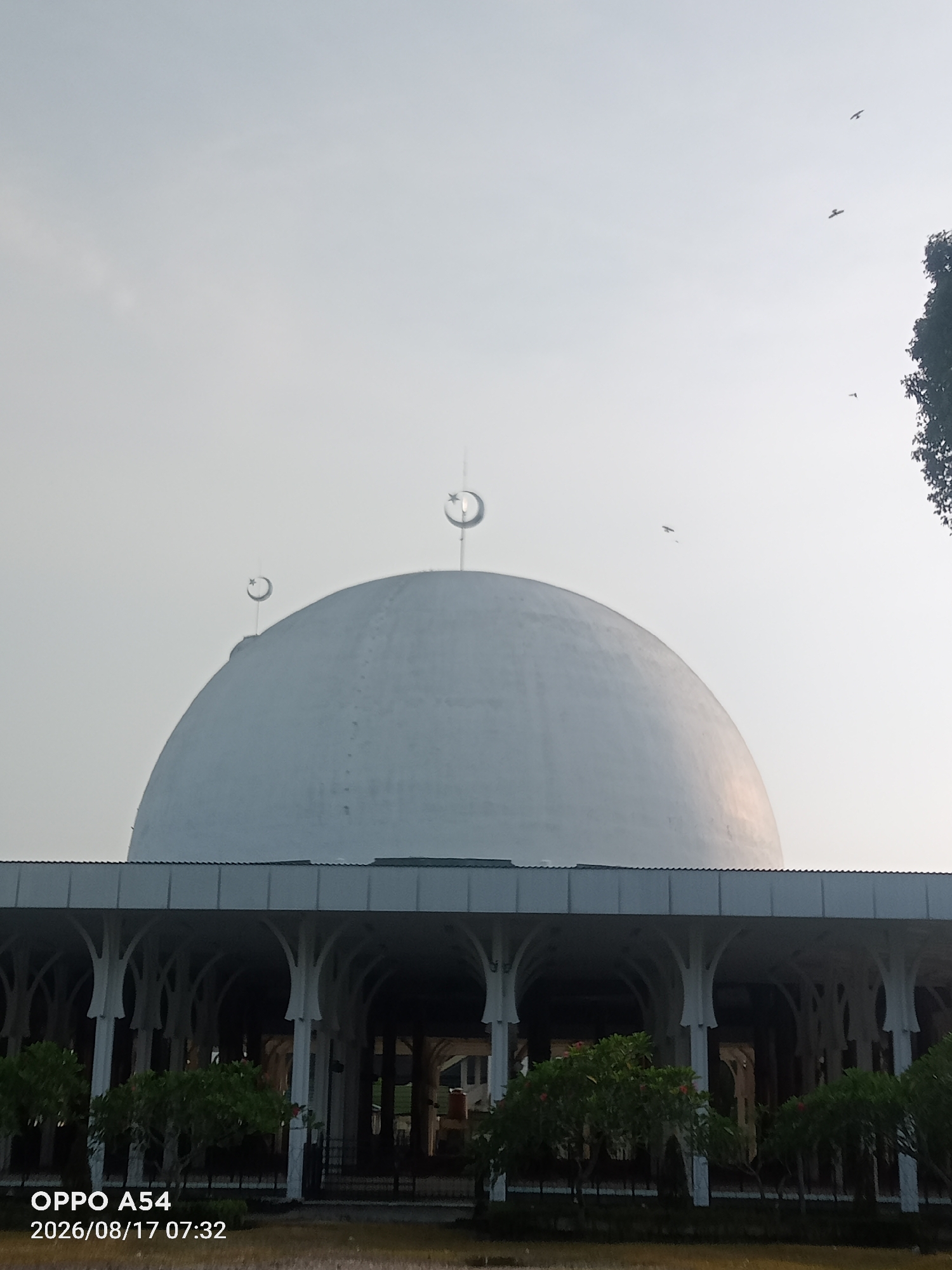 The image shows the exterior of a mosque, likely located in Jambi, Indonesia, given the timestamp and location information "2026/08/17 07:32". The main subject is a large, white, domed structure with two smaller crescents, one on the main dome and another on a smaller dome to the left. The mosque has a colonnaded walkway in the foreground with decorative white pillars supporting a roof. Lush green trees and shrubs are planted in front of the walkway. The sky is overcast and light, with a few birds visible in flight. The bottom left corner of the image displays the text "OPPO A54" and the date and time. The overall scene is calm and serene, suggesting an early morning view.