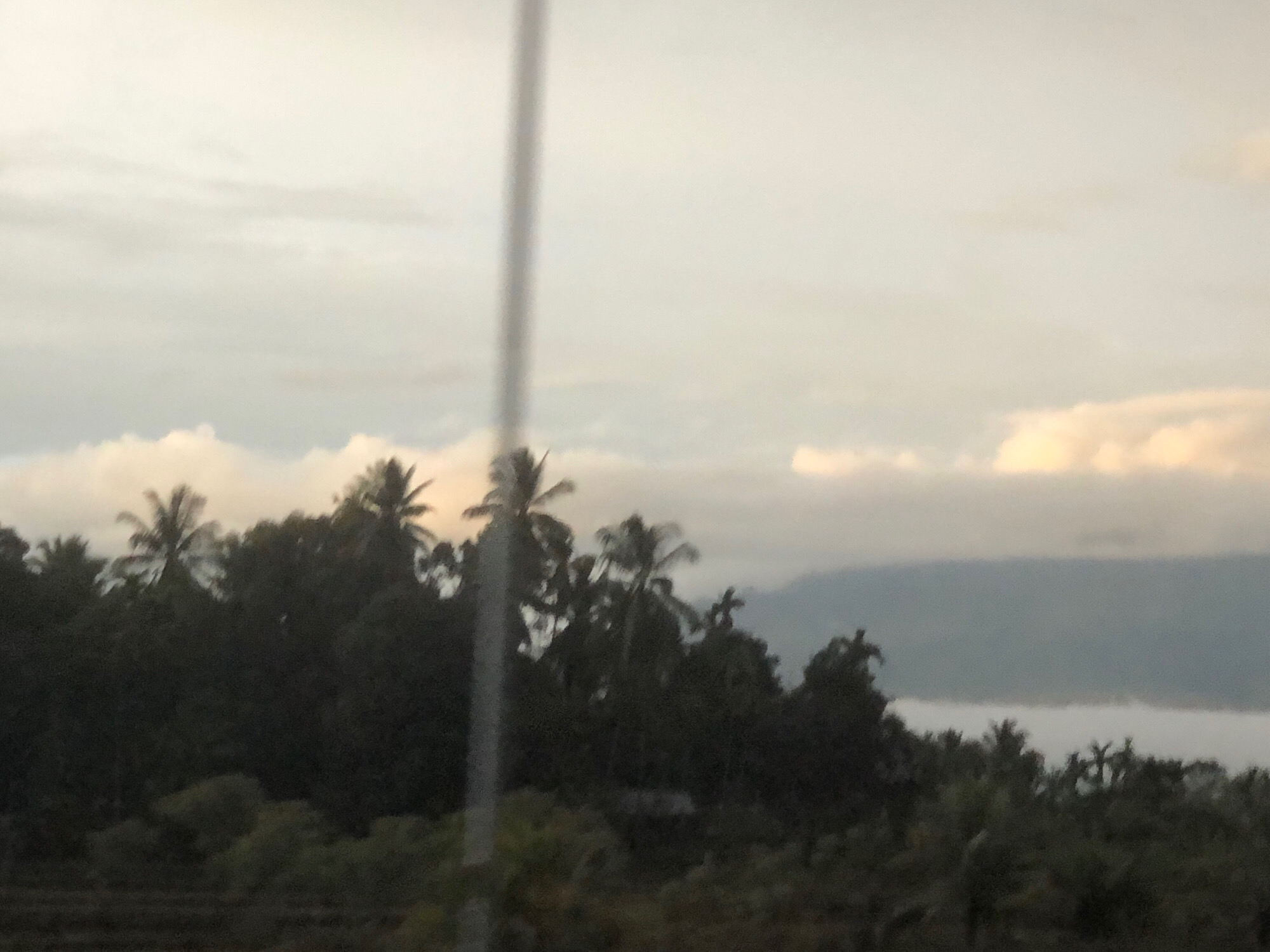 The image depicts a landscape scene under a cloudy sky. The foreground is dominated by a dense canopy of dark green trees, including several palm trees with their distinctive fronds. A thin, vertical, gray pole-like object is visible in the left half of the image, extending from the bottom to the top edge. In the background, misty or cloudy conditions obscure the lower parts of distant hills or mountains. The sky is a pale gray with hints of lighter, possibly sunlit clouds near the horizon. There are no people or animals visible in the image. The scene suggests a natural environment, possibly rural or a forested area, and the presence of the vertical pole might indicate man-made infrastructure. The overall lighting suggests it could be dawn, dusk, or an overcast day. The image does not provide specific visual cues to confirm the location as Datagaseu, Indonesia.