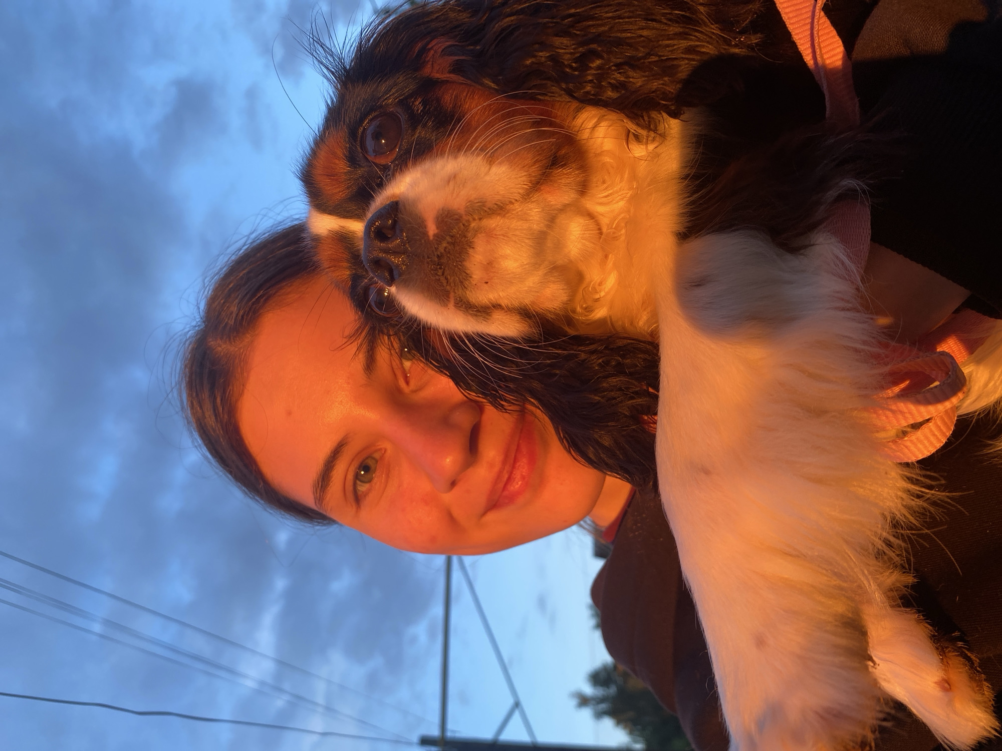 A young woman with long brown hair is holding a Cavalier King Charles Spaniel dog. The dog is positioned with its head resting on the woman's cheek. The woman is smiling slightly, and her eyes are visible. The dog is mostly black and brown with white markings, and its fur appears wet. A pink dog collar is visible.
The background shows a dusk sky with some clouds, along with power lines and some trees. It's difficult to pinpoint the exact location within Votkinsk, Russia from this single image.