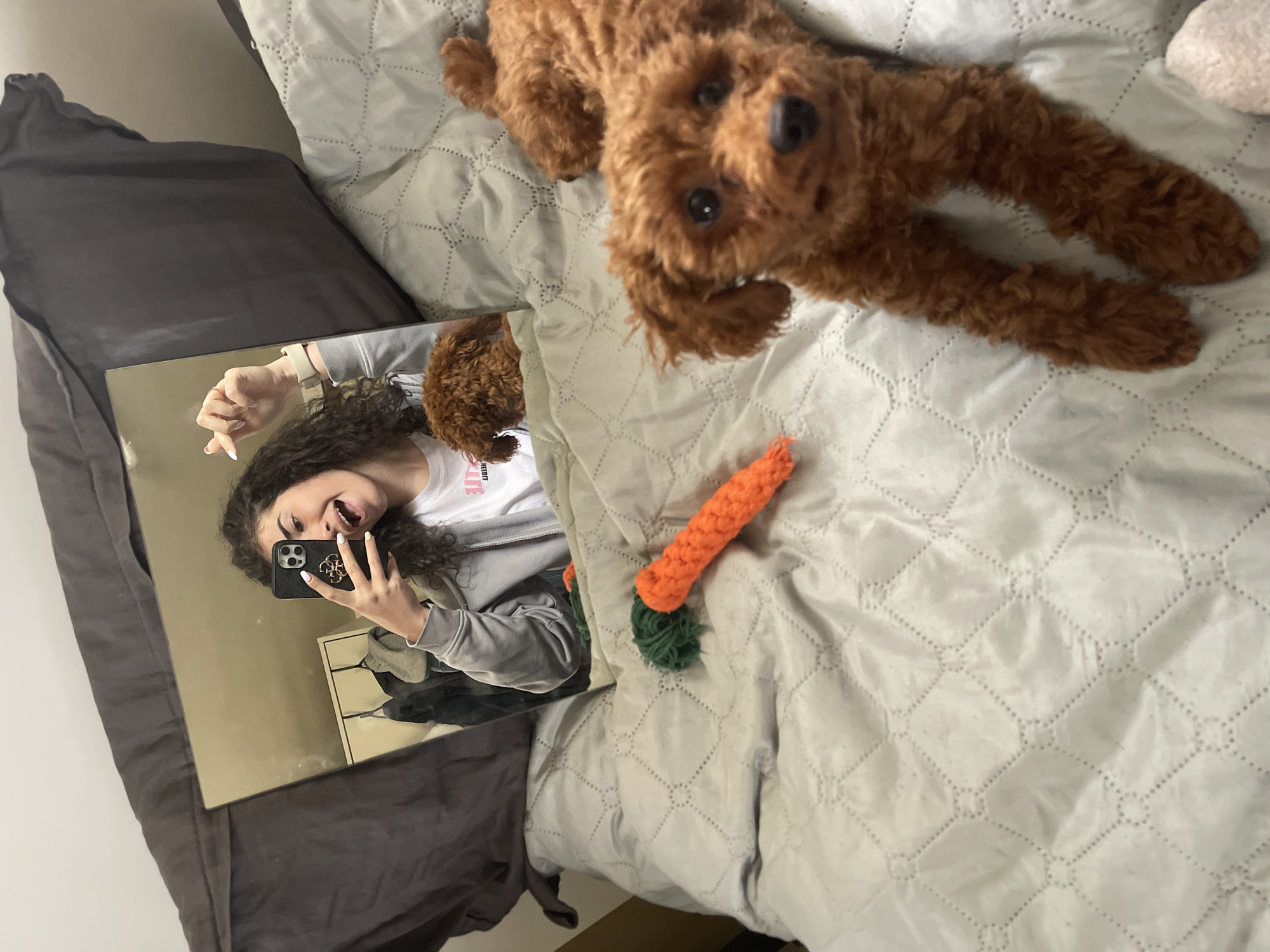 The image depicts a light-skinned person with dark curly hair taking a selfie in a mirror. The person is wearing a grey zip-up hoodie and a white t-shirt. In the mirror's reflection, a white dresser can be seen. On the bed is a brown poodle lying down, a knitted carrot toy, and a patterned quilt. A grey pillow is also visible. The location in Sofia, Bulgaria, cannot be determined from the image.