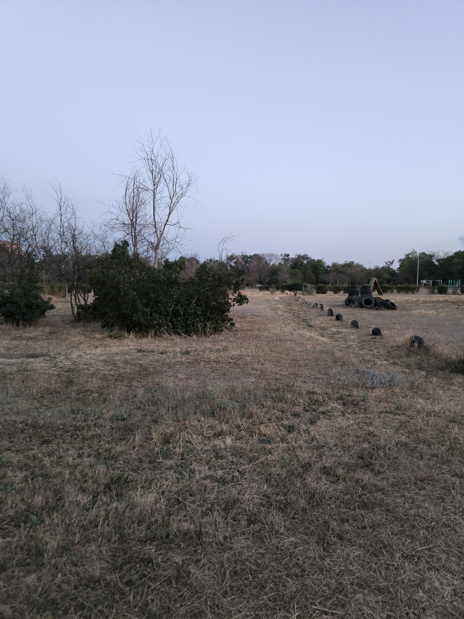 The image depicts an outdoor area with dry, yellowed grass covering the ground. In the foreground, the grass is dense and appears somewhat unkempt. A path or cleared area extends from the foreground into the middle ground, lined on one side by a series of old, weathered car tires, placed at intervals. In the middle ground, a cluster of larger tires is stacked, some forming a crude structure with an angled piece of wood leaning against them. Behind this, a dense, dark green bush or shrub is prominent. Further back, on the left side of the frame, are several bare trees with thin branches, and a hint of a building is visible through them. On the right side of the middle ground and extending into the background, more trees and bushes form a natural boundary. The sky above is a pale, clear blue, suggesting it might be early morning or late evening. In the far background, some distant trees and structures, possibly part of a park or recreational area, are faintly visible. The overall impression is of a somewhat neglected outdoor space. This scene is likely located in the city of Mykolaiv, Ukraine, given the context.