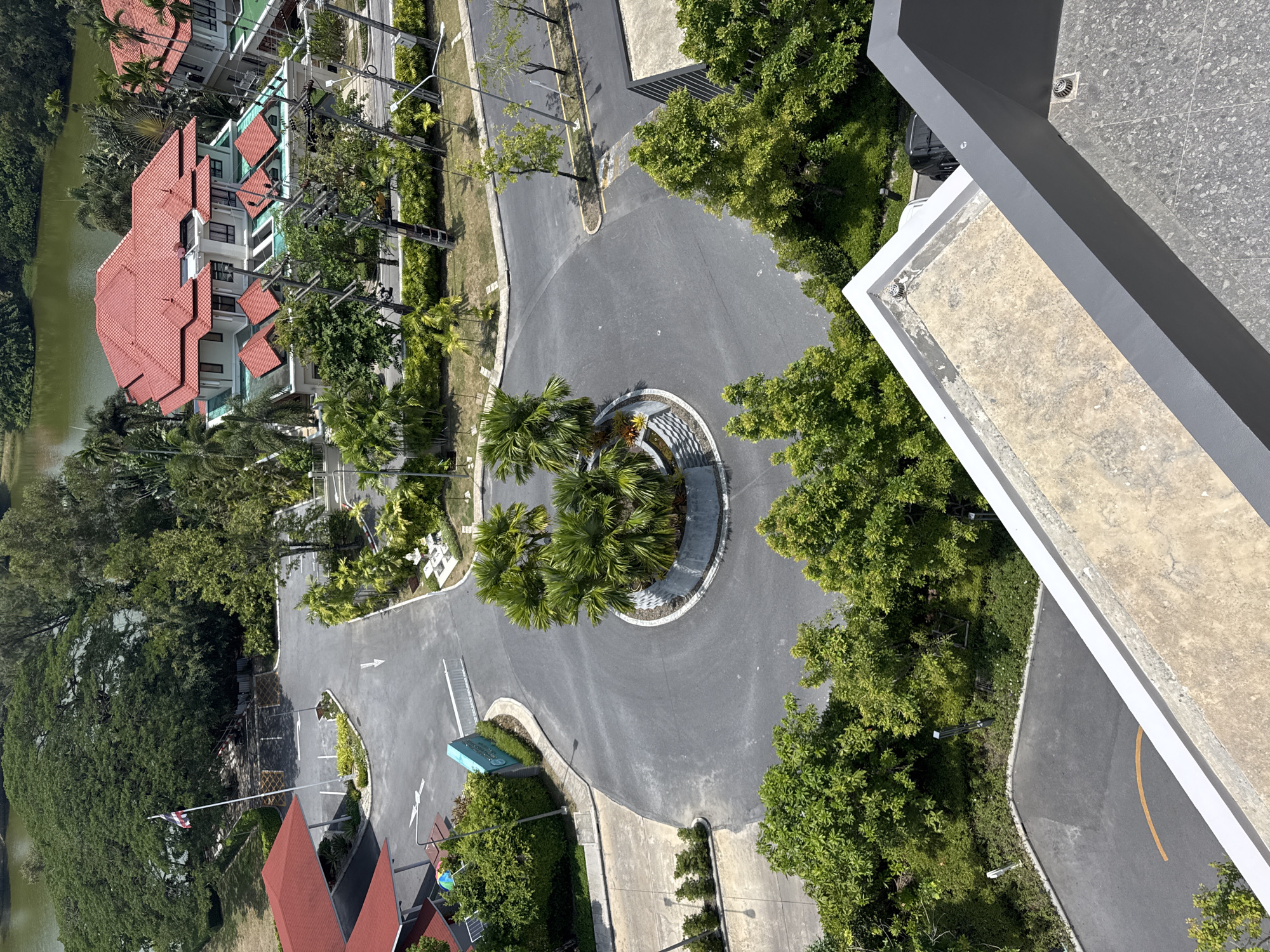 An overhead shot reveals a roundabout featuring a palm tree cluster as a central point on the paved road within the city of Choeng Thale, Thailand. The buildings include a building with red tiled roofing, and a building with concrete roofing. The scene is bordered by lush green vegetation.