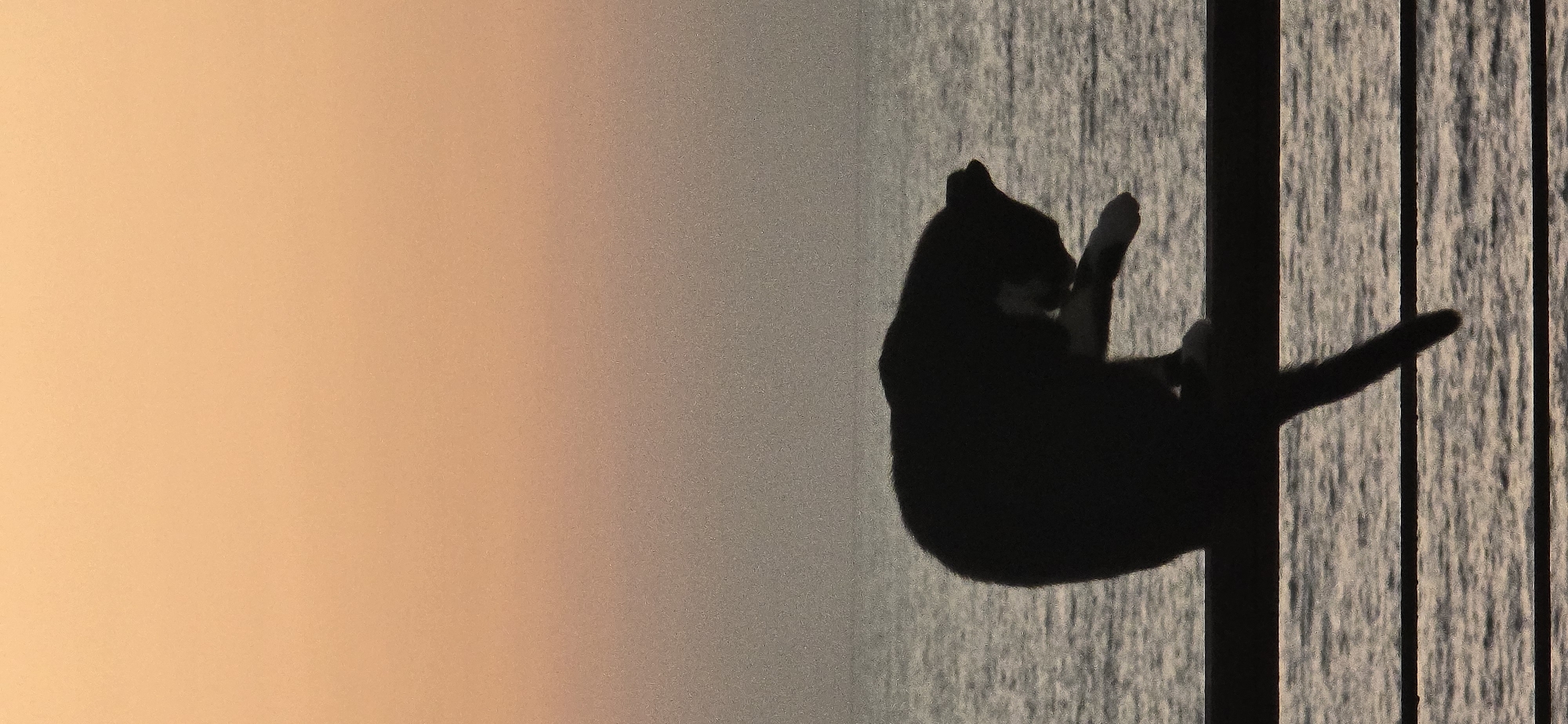A silhouette of a black and white cat is perched on a railing, grooming itself. The cat is positioned in the foreground, with its body curved and its face turned towards its paw. Behind the cat, a calm body of water, likely the Mediterranean Sea, stretches to the horizon. The sky above is a soft gradient of orange and pink, suggesting either sunrise or sunset. The railing appears to be part of a promenade or balcony. The scene is devoid of any specific landmarks that would pinpoint its exact location within Bat Yam, Israel, beyond the general coastal environment.