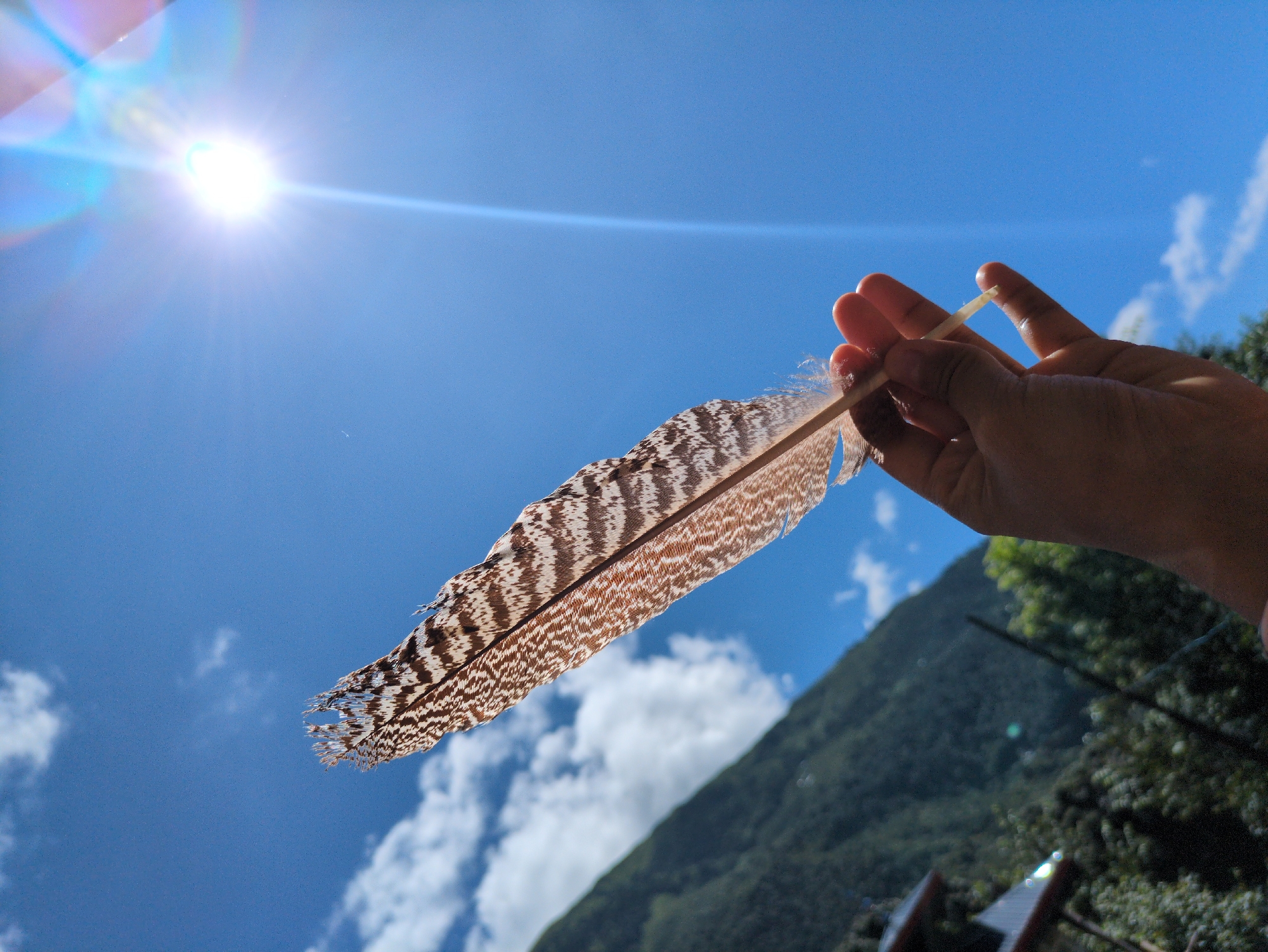 A close-up, low-angle shot captures a hand holding a single brown and white speckled feather against a vibrant blue sky with scattered white clouds. The sun is bright and positioned in the upper right quadrant of the image, creating a lens flare with streaks of blue and yellow light. In the background, a lush green mountainside is visible, with the tops of trees and hints of buildings nestled on the slope. The feather is prominently displayed, its delicate structure detailed by the sunlight. This scene appears to be taken in Bhagsu, India, a location known for its natural beauty and spiritual sites.