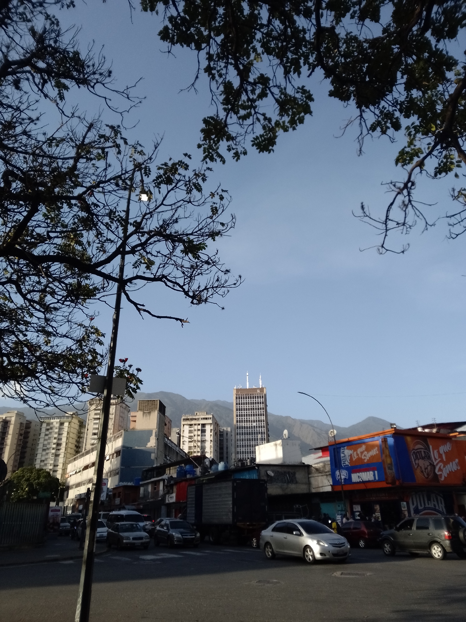The image captures a street scene in Caracas, Venezuela. In the foreground, a street intersection is visible, filled with various cars, including a silver sedan, a gray SUV, and several other vehicles of varying colors and models. A large truck is also present, parked along the side of the road.
In the background, the cityscape rises, with multiple residential buildings and a distinct high-rise structure with a grid-like facade and antennae atop it. Behind the buildings, the Avila mountains form a natural backdrop.
Above the street level, commercial establishments with brightly colored signage are visible, including an advertisement for "Polar," a Venezuelan beer brand. The scene is framed by trees, with branches and leaves visible in the upper portion of the image. A street lamp is also included in the scenery. The sky is clear and blue.