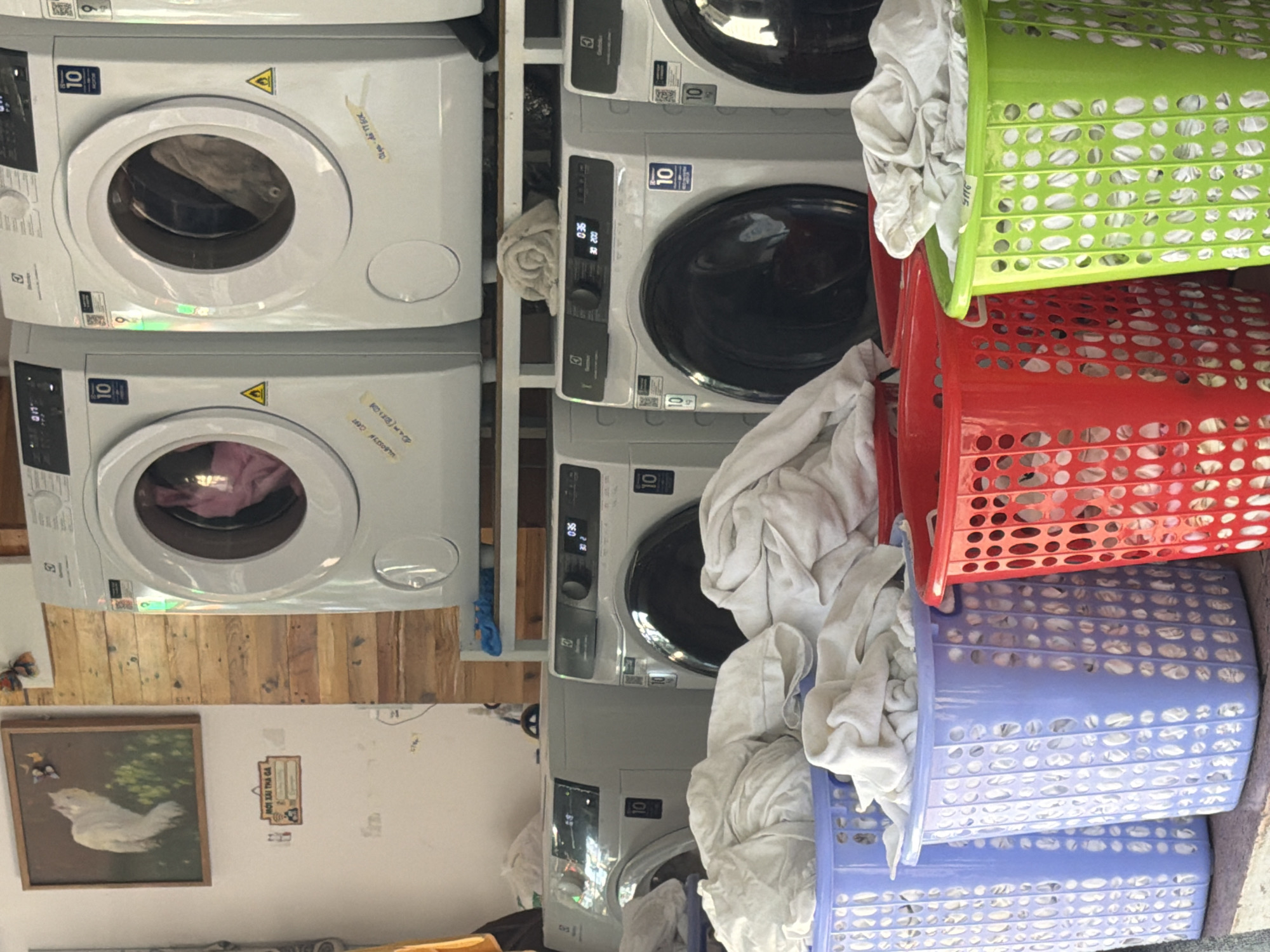 The image shows a row of front-loading washing machines, likely in a self-service laundromat. In the foreground, three plastic laundry baskets are visible: one blue, one red, and one green, all filled with white laundry. The washing machines appear to be of similar models, with digital displays and round glass doors. Some of the machines have stickers on them, including yellow triangle warning stickers. Behind the washing machines, a wooden wall is visible, and on the left side of the frame, there is a framed picture of a white cat. A small sign with Vietnamese text is also present on the wall. The overall setting suggests a functional laundry facility. The presence of Vietnamese text on the sign and the general aesthetic are consistent with locations in Nha Trang, Vietnam.