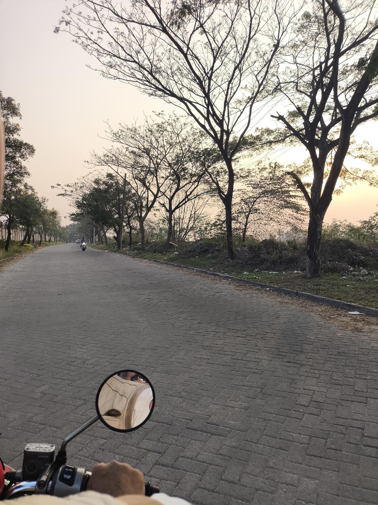 The image depicts a paved road in Cilegon, Indonesia, likely in a developing area, as suggested by the uncultivated vegetation and scattered debris along the roadside. The road is constructed with interlocking pavers and lined with trees, some of which are bare, indicating a dry season or a particular species. In the foreground, a person's hand is visible on the handlebars of a motorcycle, with the motorcycle's rearview mirror reflecting a portion of their upper body, wearing a light-colored garment. Further down the road, a white motorcycle with a rider is moving away from the viewer. The sky is a pale orange, suggesting either sunrise or sunset, casting a warm, soft light over the scene. The overall atmosphere is tranquil, with the absence of significant human activity beyond the two motorcyclists.