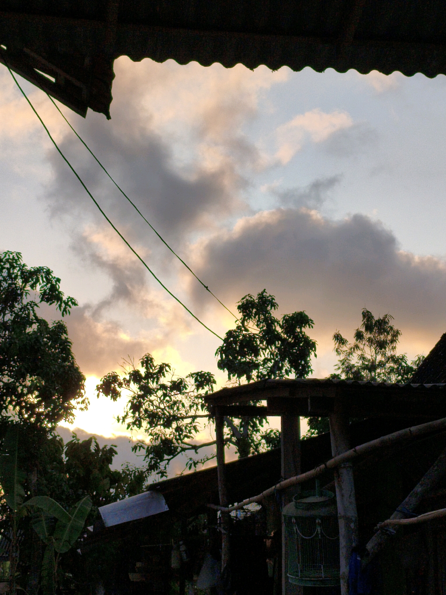 A view of the sky and foliage at dusk in Karangtalun, Indonesia. The image is framed by a dark, corrugated roofline at the top and a shadowy structure with a green birdcage in the foreground. Two green wires stretch diagonally across the upper portion of the frame, against a backdrop of pale pink and grey clouds illuminated by the setting sun. Lush green trees with dense foliage fill the mid-ground, with branches reaching towards the sky. The background shows a hint of mountains and the fading light of sunset. The scene evokes a sense of peaceful twilight in a tropical or subtropical environment.