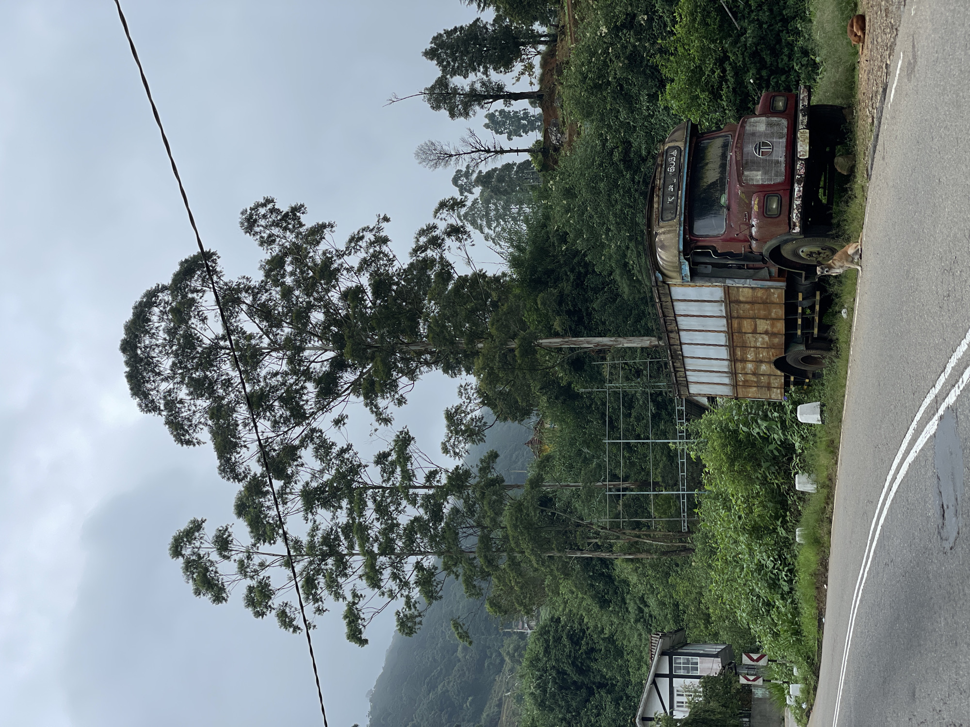 The image depicts an overcast scene in Kudaoya, Sri Lanka. An old, rusty truck sits stationary on the side of a paved road. The truck's color is faded red, and its cargo bed is constructed of corroded metal panels. Two dogs are near the truck, one lying in front of the left front tire, the other sitting to the right. Lush green foliage covers the hillside behind the truck, including tall trees, the branches reach towards overhead power lines. In the distance, there are rolling hills shrouded in mist, typical of mountainous regions. At the bottom of the image, there is a building, likely residential.