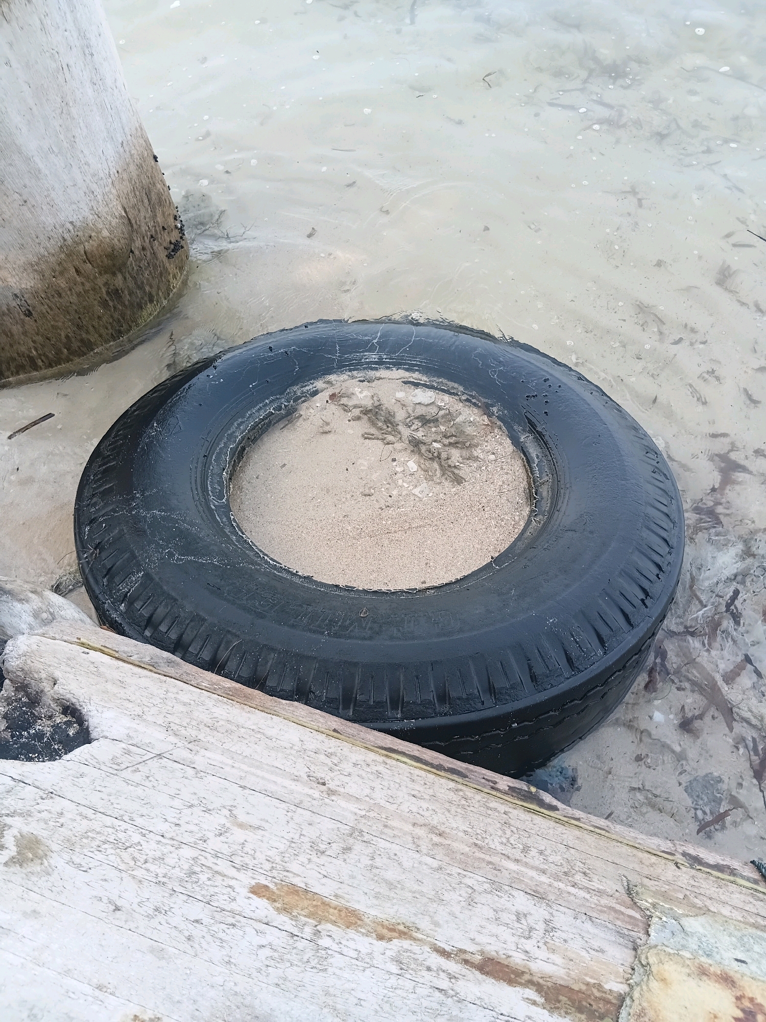 The image shows a discarded black tire filled with sand and partially submerged in shallow, murky water. The tire is resting on a sandy seabed with some debris, possibly seaweed and small shells. To the left of the tire, a portion of a large, weathered wooden post is visible, with some dark objects, possibly barnacles or mussels, clinging to its base where it meets the water. In the foreground, weathered wooden planks are laid out horizontally, one of which is partially covered by the tire. The overall scene suggests a coastal environment, possibly a beach or the edge of a body of water. The lighting is natural, indicating it was taken outdoors during the day. There are no people or animals visible in the image. The location is described as Cikal, Indonesia.