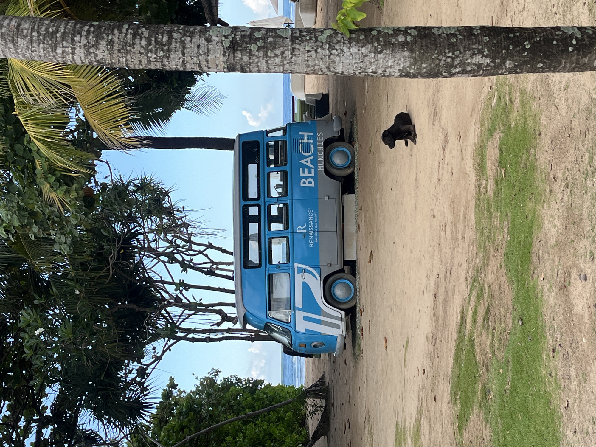 On a beach in Kuta Selatan, Indonesia, a blue and gray double-decker bus with "BEACH MUNCHIES" written on the side is parked on the sand. The Renaissance Bali Uluwatu Resort logo is also visible on the bus. A black dog is present near the back of the bus on the right side of the image. The ocean is visible in the background behind the bus, framed by trees. The image is framed with a palm tree branch in the upper portion of the scene.