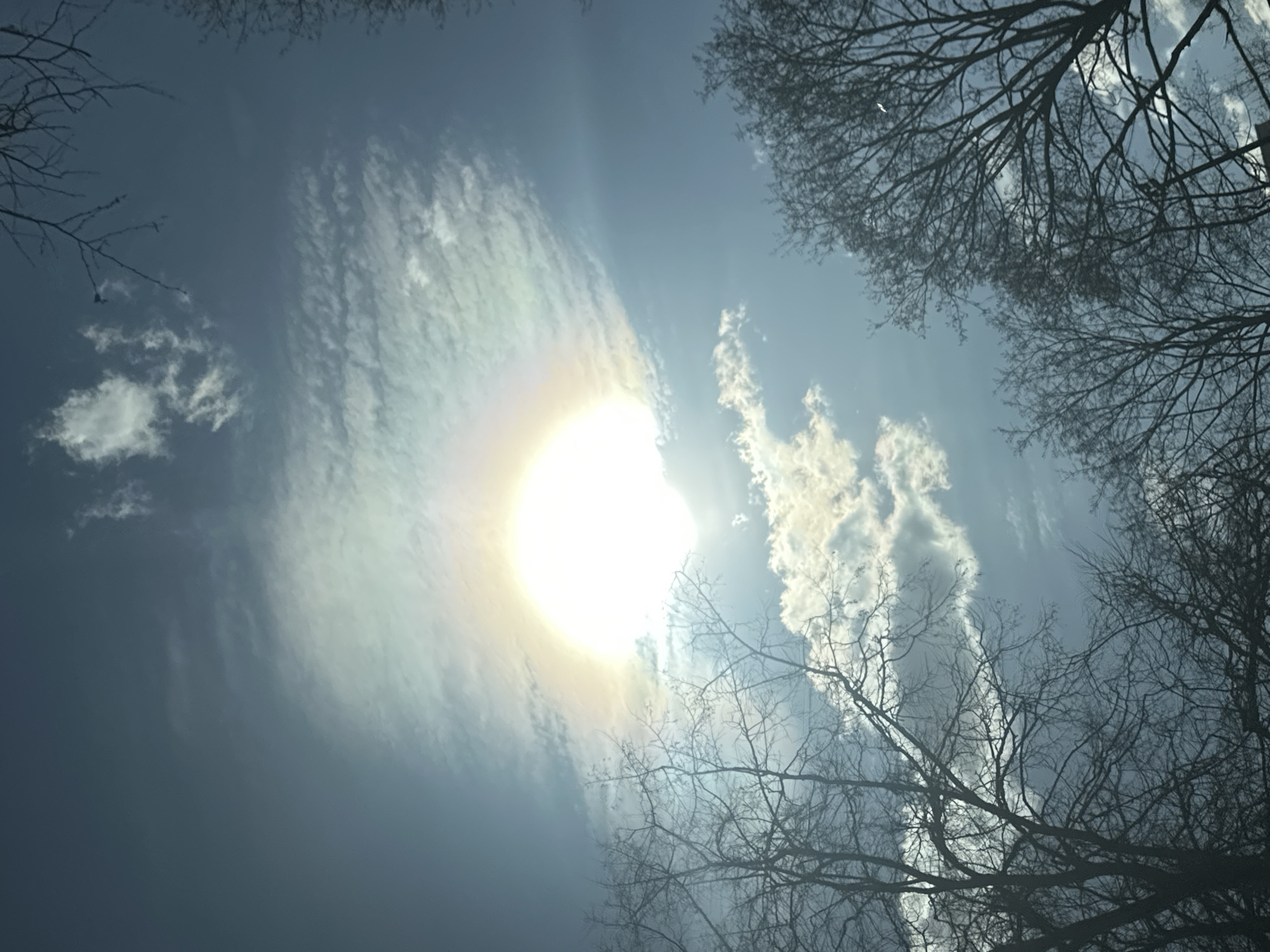 The image depicts a view looking up towards a bright sun partially obscured by thin, streaky clouds in a blue sky. The silhouetted branches of leafless trees frame the upper portion of the image. The specific location in Moscow, Russia, is indeterminable from the image alone, as this type of scene could occur in any area with similar weather conditions and vegetation.