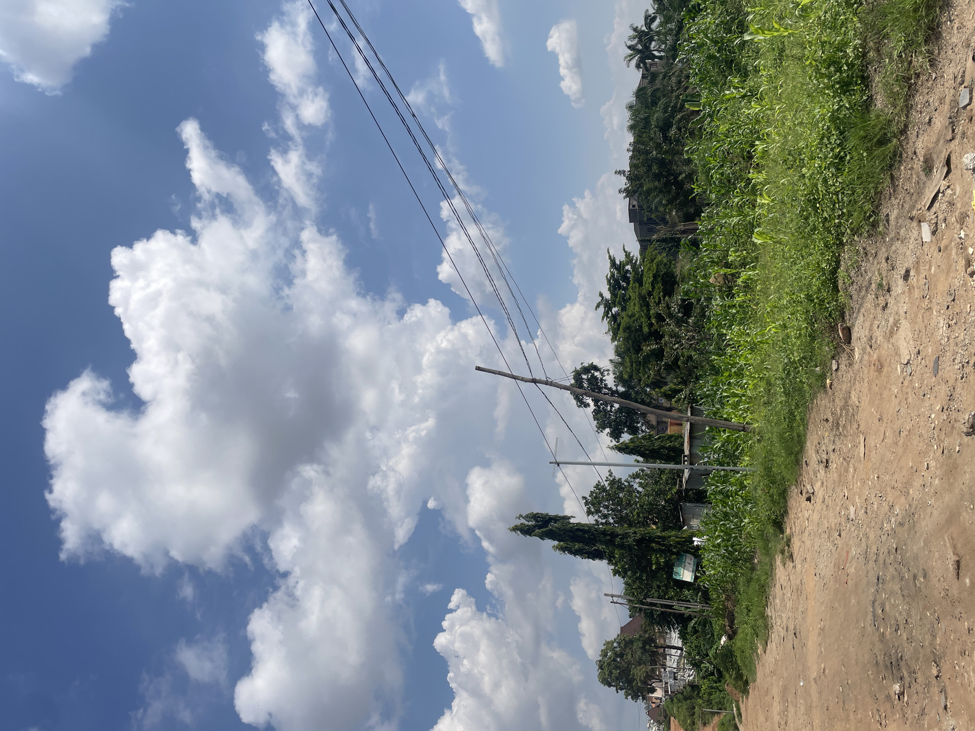The image depicts a dusty, unpaved road leading into a scene of lush greenery and blue sky dotted with white, fluffy clouds. To the right of the road, a field of tall green corn stalks thrives. Behind the corn, a dense line of trees forms a natural barrier, interspersed with some structures, including what appears to be a small corrugated metal building and a sign. Tall, slender trees stand prominently in the middle ground, alongside utility poles and overhead electrical wires. In the distance, the tops of buildings and more trees suggest a semi-urban or suburban environment. The overall impression is one of a developing area, likely on the outskirts of a city, where agriculture and construction coexist. The scene is bathed in bright daylight, indicating a clear, sunny day. This image could be a typical view of a developing residential or agricultural area in Abuja, Nigeria.