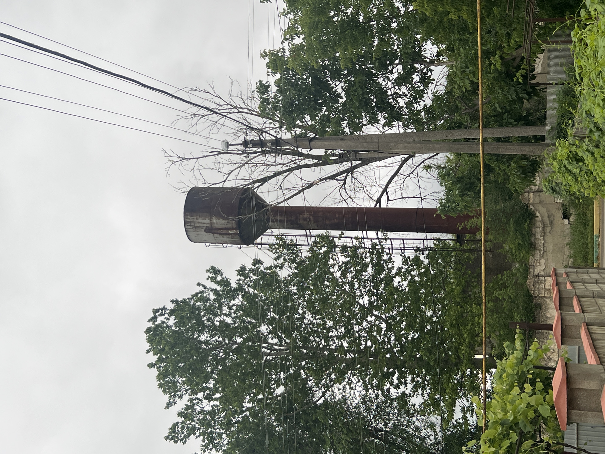 An old, rusty water tower stands tall amidst lush green trees and vegetation under a cloudy sky. The tower, made of metal, shows signs of wear and tear, with a ladder running up its side. Nearby, power lines stretch across the frame, supported by concrete poles. In the foreground, a low-lying wall with decorative concrete caps, topped with orange trim, borders a garden area with abundant green foliage. The scene suggests a somewhat neglected but vibrant urban fringe environment in the town council of Dubăsari, Moldova.