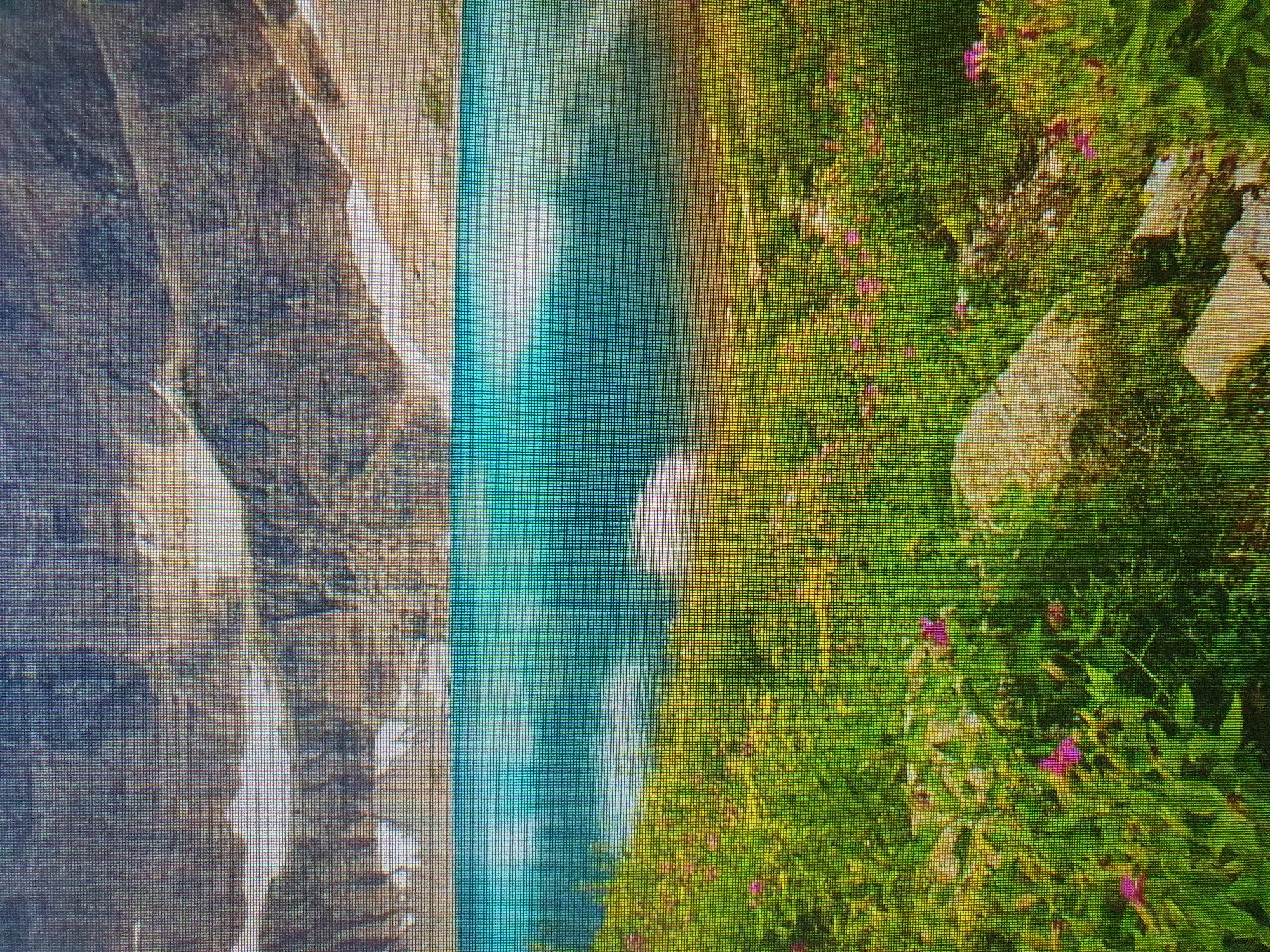 The image depicts a serene natural landscape. In the foreground, a vibrant meadow is filled with lush green grass and numerous small pink and yellow flowers. A few scattered rocks are visible within the grassy area. A calm, turquoise body of water occupies the middle ground, reflecting the sky and surrounding mountains. The background is dominated by rugged, rocky mountains, with patches of snow visible on their slopes. The overall scene is one of natural beauty and tranquility. There is no indication of any urban environment, people, or specific identifiable landmarks.