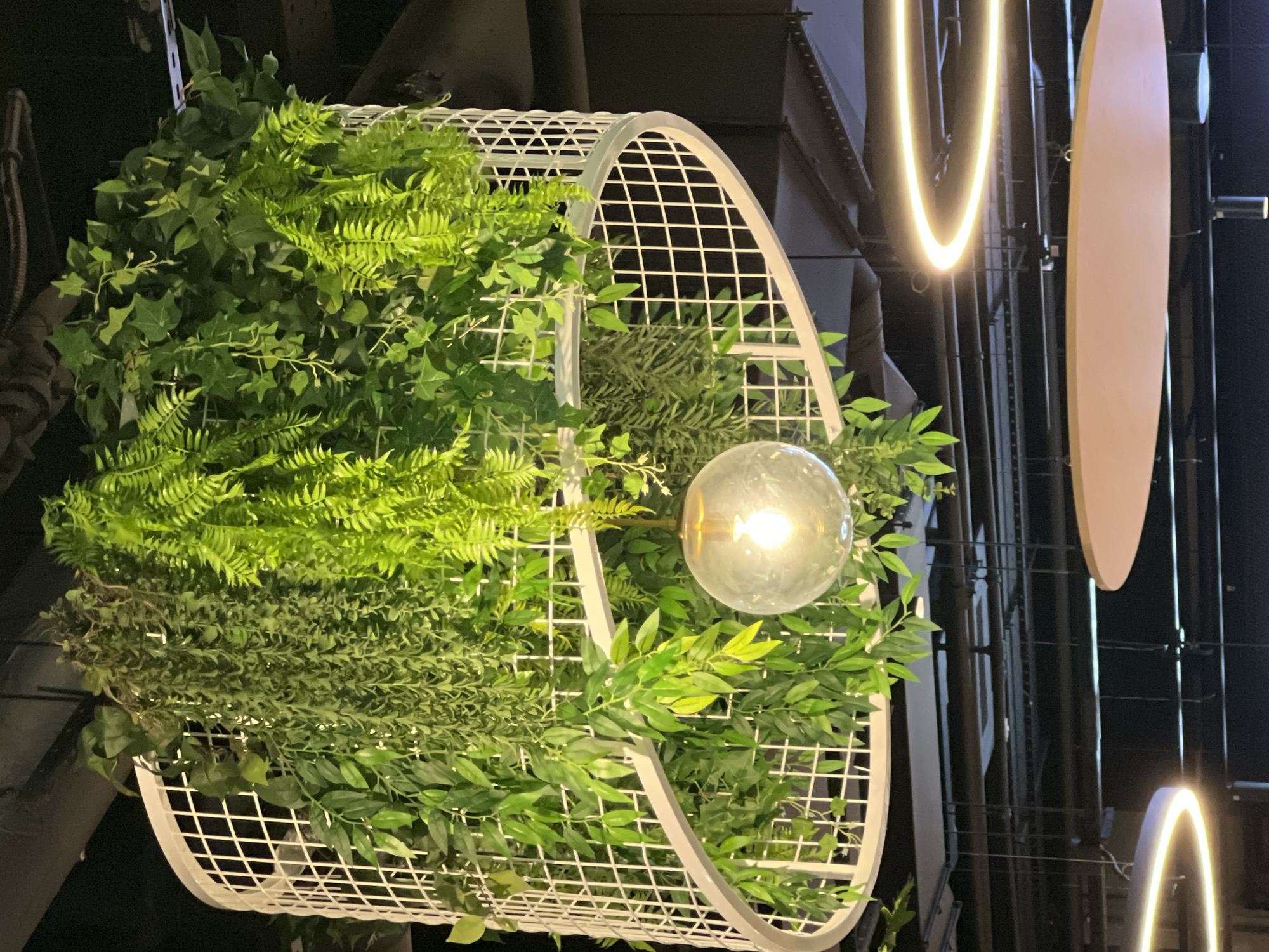 The image captures an overhead view of a decorative hanging structure filled with artificial greenery. The structure is a white, rounded cage-like object with a grid pattern. Lush green plants, including ferns and ivy-like vines, are densely packed inside and spill out from the opening. Suspended within the greenery is a clear, round glass orb containing a lit light bulb, casting a warm glow.
In the background, dark pipes and metal structures are visible, suggesting an indoor industrial or commercial setting, possibly a restaurant or event space. Several modern light fixtures are also present. To the right, a long, light pink oval-shaped object hangs vertically, and a U-shaped neon light fixture with a warm yellow glow is visible in the upper right corner, as well as a smaller one at the bottom right. The lighting from the globe and the neon fixtures creates a moody atmosphere.
There is no visible text in the image. The scene appears to be set at night or in a dimly lit indoor environment, given the artificial lighting. The focus is on the natural-looking plant arrangement combined with modern lighting elements, creating an aesthetically pleasing display. The overall impression is one of a stylish, contemporary interior design feature.