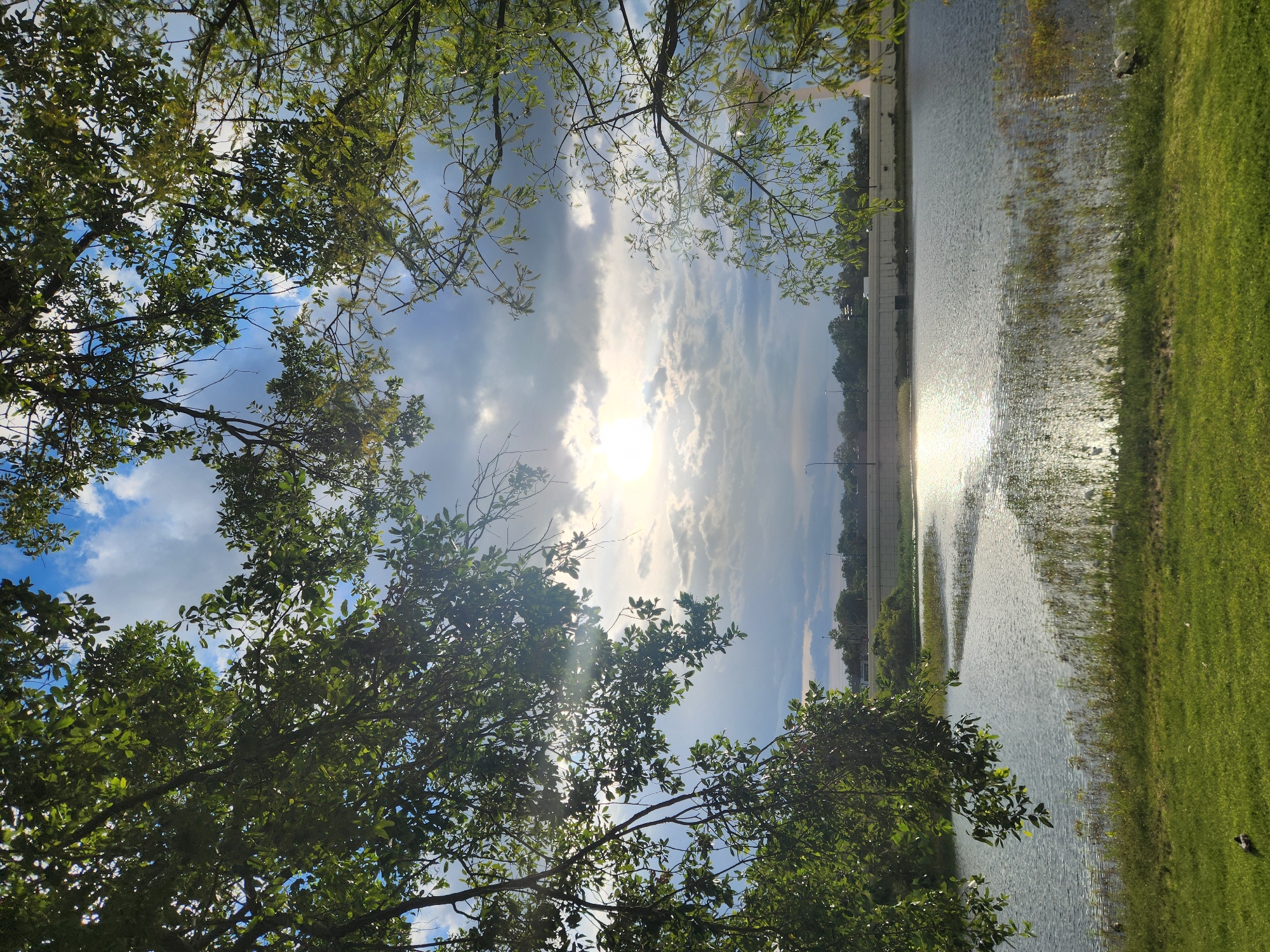 The image shows a scenic view of a body of water, likely a lake or retention pond, framed by the branches of trees. The sun is shining brightly, reflecting off the water and illuminating the sky, which is filled with clouds. In the background, there is a low wall or embankment, possibly part of a road or infrastructure, with trees and buildings visible beyond it. The foreground features a grassy area. The presence of trees and a body of water suggests this could be a park or natural area within Altamonte Springs. The overall atmosphere is peaceful and natural.