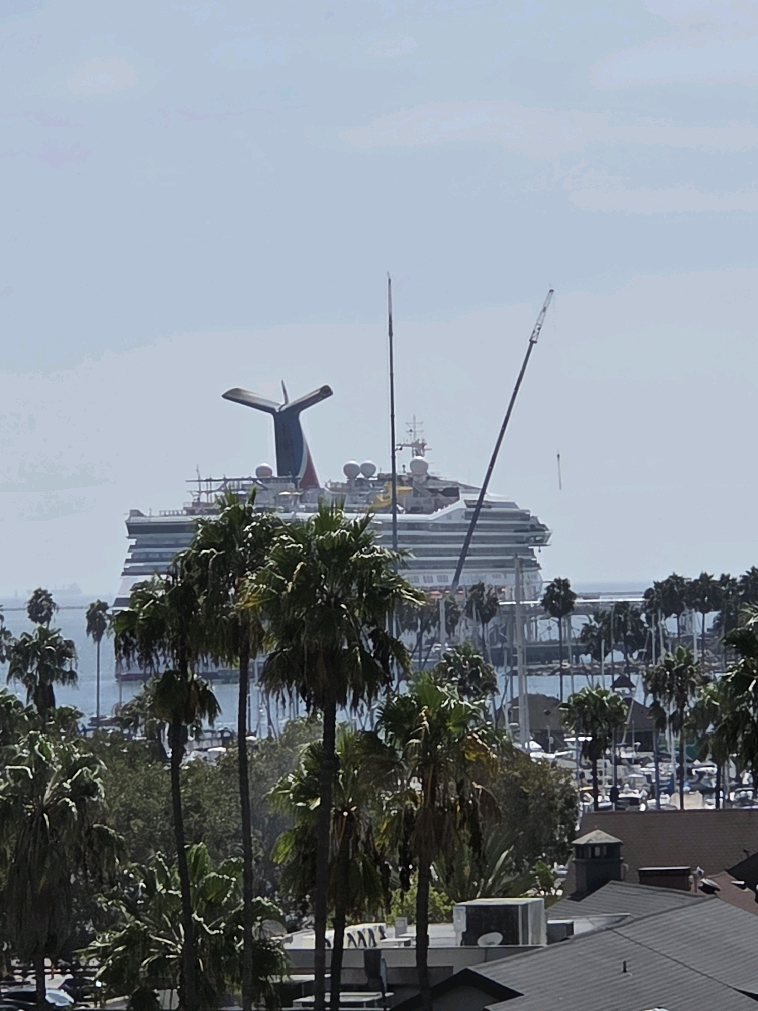 The image shows a cruise ship, identified as a Carnival ship by its funnel, docked in the harbor of Long Beach, California. The ship is partially obscured by palm trees in the foreground. Two cranes are visible near the ship, suggesting ongoing work or construction. The background shows a hazy sky and the water of the harbor. In the foreground, there are rooftops of buildings, also with palm trees. The overall scene depicts a coastal urban environment with maritime activity.