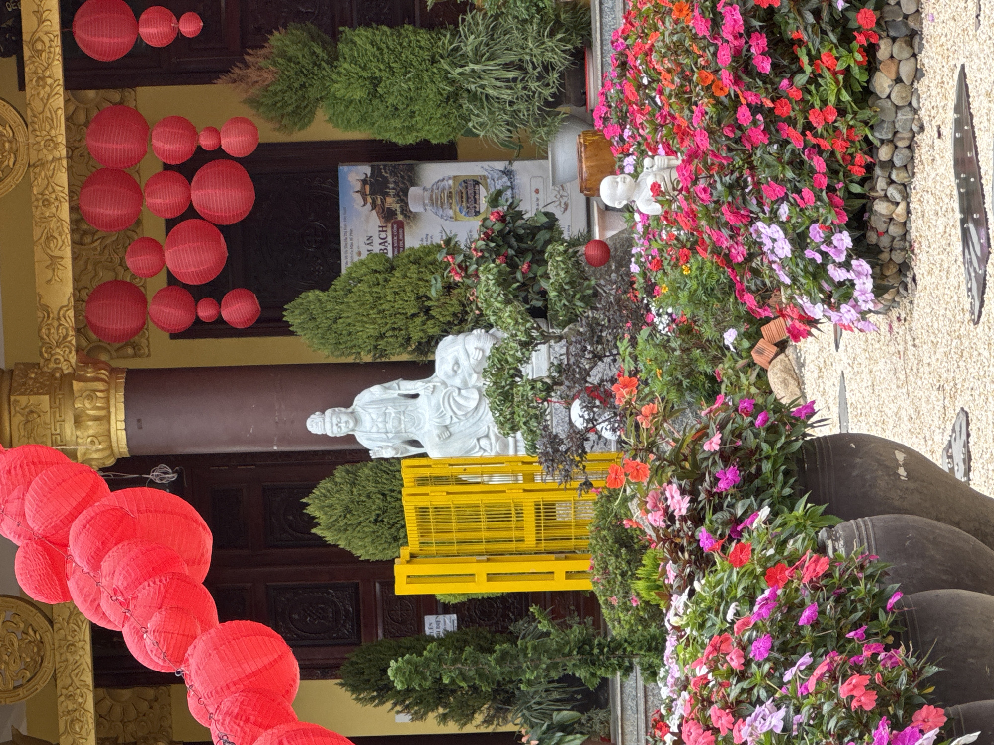 This image depicts the exterior of a building, likely a temple or religious site, in Da Lat, Vietnam. Red paper lanterns are strung across the facade, creating a festive atmosphere. In the foreground, a vibrant garden is in full bloom with a variety of colorful flowers in shades of pink, red, and purple. Several large, dark ceramic pots contain the flowers. Behind the garden, a white stone statue of a seated Buddha is visible, accompanied by smaller decorative elements such as a miniature white statue of a child and a red spherical ornament. A yellow metal structure, possibly a gate or fence, stands to the left of the Buddha statue. A poster with images of a temple and a bottle is displayed on the building's exterior. The building itself features ornate golden architectural details and dark wooden doors. The ground is covered in light-colored gravel. The scene appears to be a serene and visually rich outdoor space, possibly a tourist attraction or place of worship.