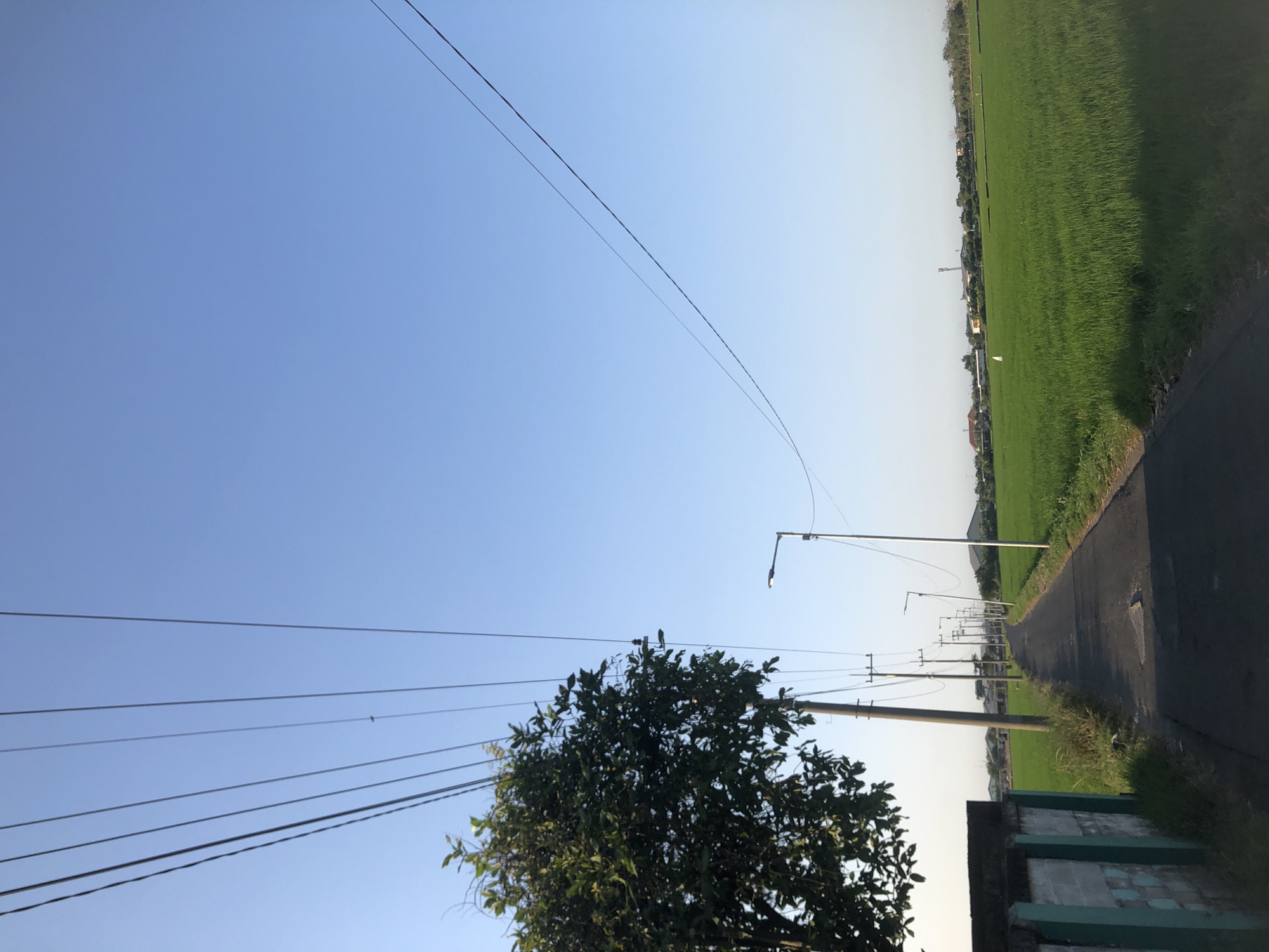 The image depicts a rural road in Kalitengah, Indonesia, bordered by lush green rice fields on the right and a low wall and trees on the left. A line of utility poles with overhead wires runs along the left side of the road, with several streetlights also visible. The sky is clear and blue, suggesting it is daytime. The road is paved and appears to be relatively narrow. The scene is tranquil and appears to be a typical countryside landscape.