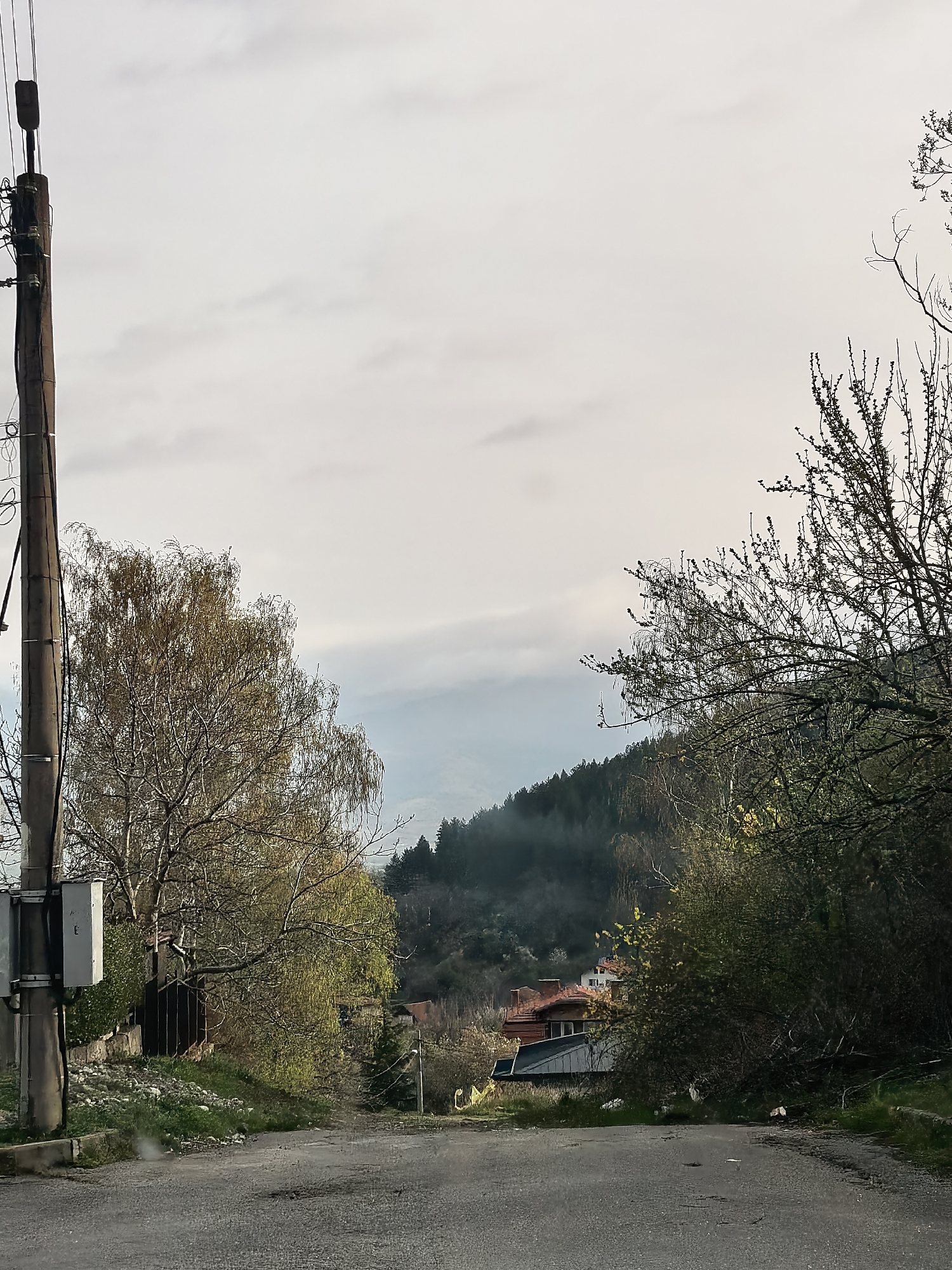 The image depicts a narrow asphalt road leading downhill into a valley in an unknown city. A telephone pole stands on the left side of the road, with visible electrical wiring and a grey utility box attached. On the left side of the road is a leafless weeping birch tree, while bushes and another leafless tree populate the right side of the road. In the distance, houses with red roofs are visible nestled amidst trees. The valley is lined with tall coniferous trees shrouded in mist. The sky above is overcast with grey clouds.