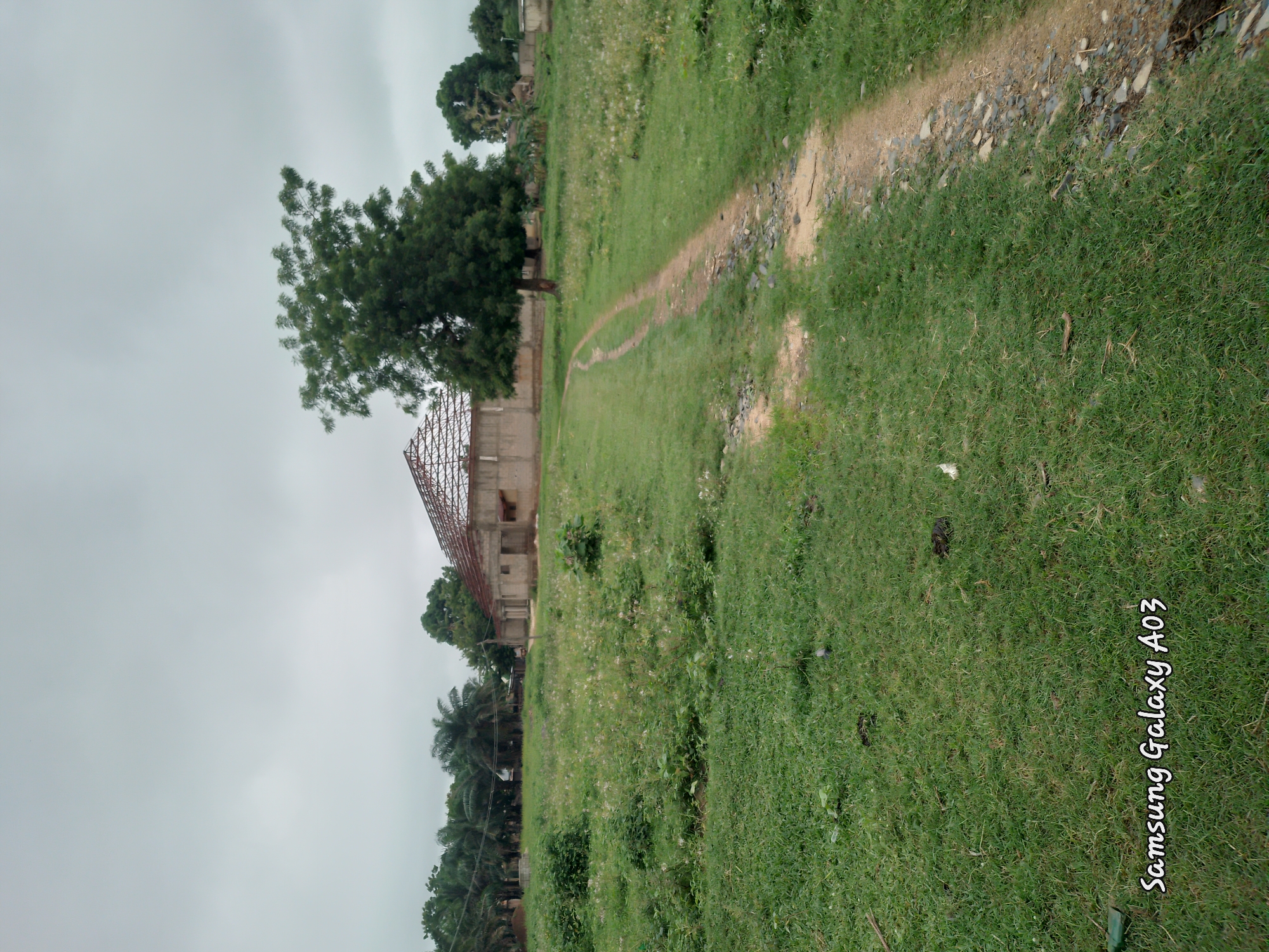 In Doka-Tofa, Nigeria, an overcast sky looms over a rural landscape. A dirt path winds through a field of green grass dotted with small white flowers and bushy vegetation. To the left, a line of palm trees and other foliage stretches across the background. Dominating the mid-ground is a concrete building under construction, its roof frame exposed to the elements. A large, leafy tree stands prominently to the right of the building, casting a shadow on the path. The overall scene depicts an undeveloped area with ongoing construction, characteristic of rural settings in Nigeria. The foreground shows a patch of well-maintained grass with the Samsung Galaxy A03 watermark in the bottom left corner.