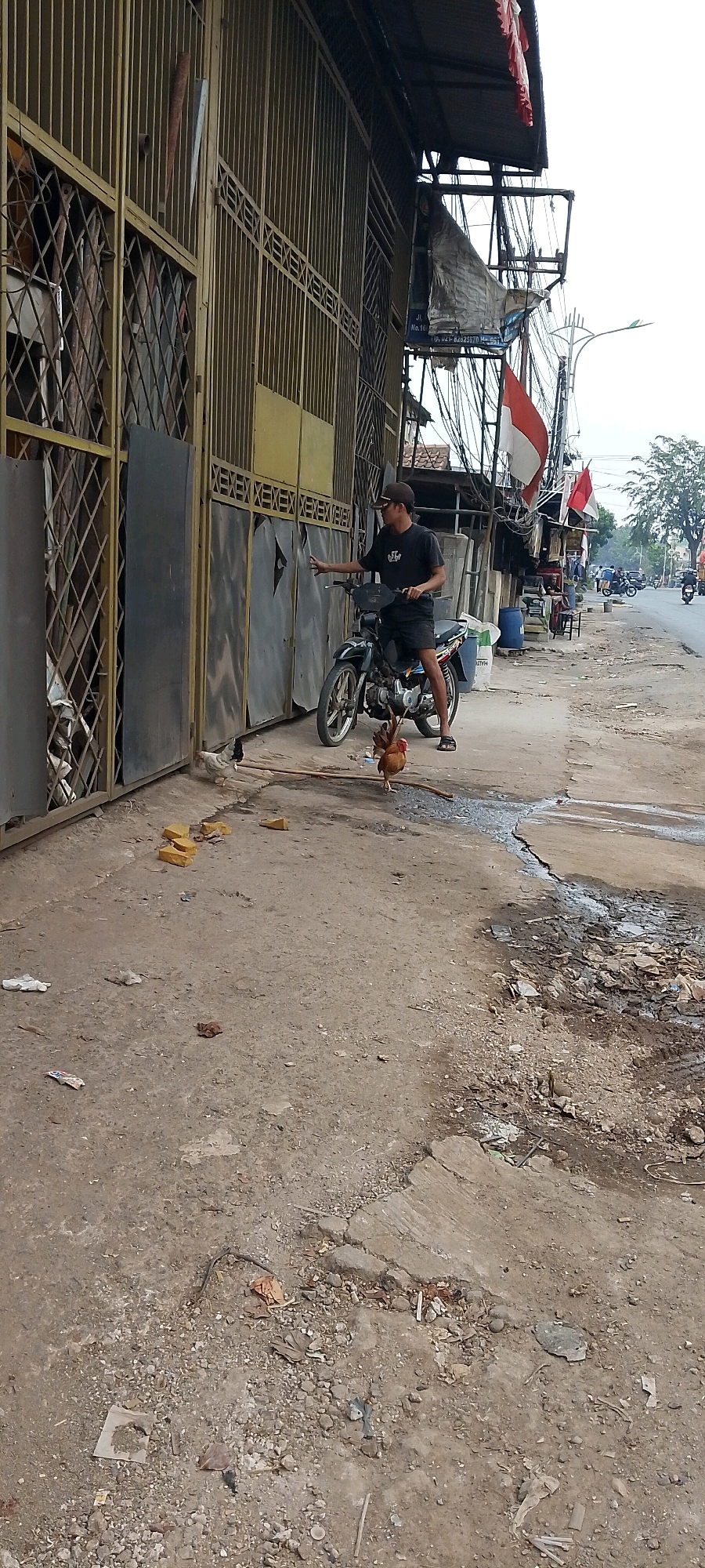 In Bekasi, Indonesia, a man wearing a black t-shirt and shorts sits on a black motorcycle parked on a dirt and concrete roadside. He is reaching out towards a large metal gate. Two chickens are on the ground near the motorcycle, one appears to be pecking at the ground. The scene is cluttered with debris, including pieces of brick, plastic bags, and fallen leaves. In the background, there are buildings, a street with traffic, and Indonesian flags displayed prominently. The overall environment appears to be an urban or semi-urban area with signs of disrepair and everyday life.