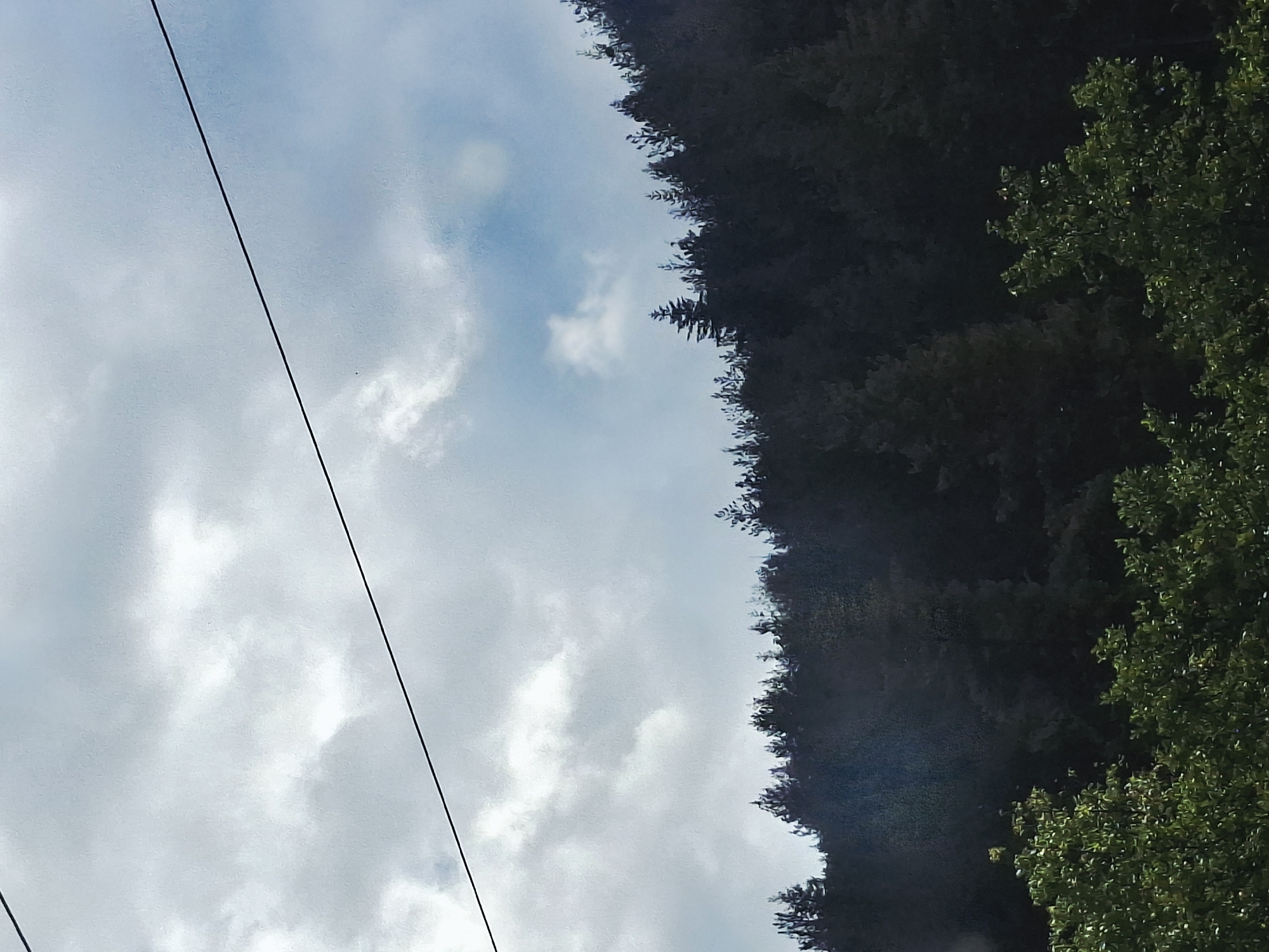 The vertically oriented image captures a natural landscape scene in Hvoina, Bulgaria, showcasing a dramatic contrast between sky and dense forest. The left side of the frame is dominated by a bright, expansive sky filled with white and light grey clouds, with patches of clear blue visible through the overcast. A single, slender, dark power line or cable stretches diagonally across this sky area, extending from the upper left corner towards the lower right.
A striking, irregular vertical line of dark, dense trees forms a prominent boundary in the middle of the image, separating the bright sky on the left from the deeper forested area on the right. These trees appear to be evergreens or conifers, silhouetted against the lighter background. On the far right side of the frame, partially visible, are sections of a different tree with vibrant, lighter green leaves, suggesting it is a deciduous tree positioned closer to the viewer or in a more sunlit area compared to the dark forest line.
The scene depicts a peaceful, static moment during the daytime. The weather appears to be partly cloudy, allowing for bright illumination of the sky and the green foliage. The presence of the power line indicates human infrastructure integrated into this natural, likely rural or forested, environment, consistent with locations in Bulgaria. There are no people, objects other than the cable, or visible text in the image.