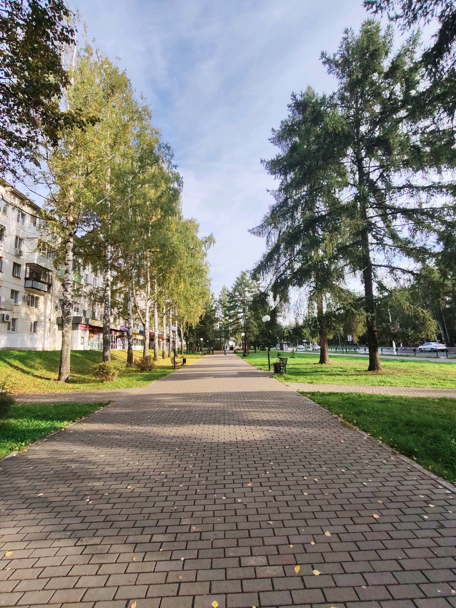 The image depicts a straight, paved walkway in a park-like setting. The walkway is constructed from rectangular gray pavers laid in a diagonal pattern and is lined with trees on both sides. On the left, there is a white building with multiple stories, featuring balconies and air conditioning units. The trees bordering the building are slender and have light-colored bark and green foliage, suggesting they are birch trees. On the right side of the walkway, larger, darker green coniferous trees dominate the landscape, with their branches casting shadows. The ground alongside the walkway is covered in green grass, with scattered fallen yellow leaves on both the grass and the pavement. In the distance, a road is visible with a few cars, and more trees line the far side of the road. The sky above is blue with scattered white clouds. Several park benches and lampposts are positioned along the walkway. One person can be seen walking in the distance on the walkway on the right side. The scene suggests a public park or a pedestrian area in a city. This location is likely a park or a pedestrian zone in Chaikovsky, Russia, given the architectural style of the building and the types of trees present, which are common in the region.