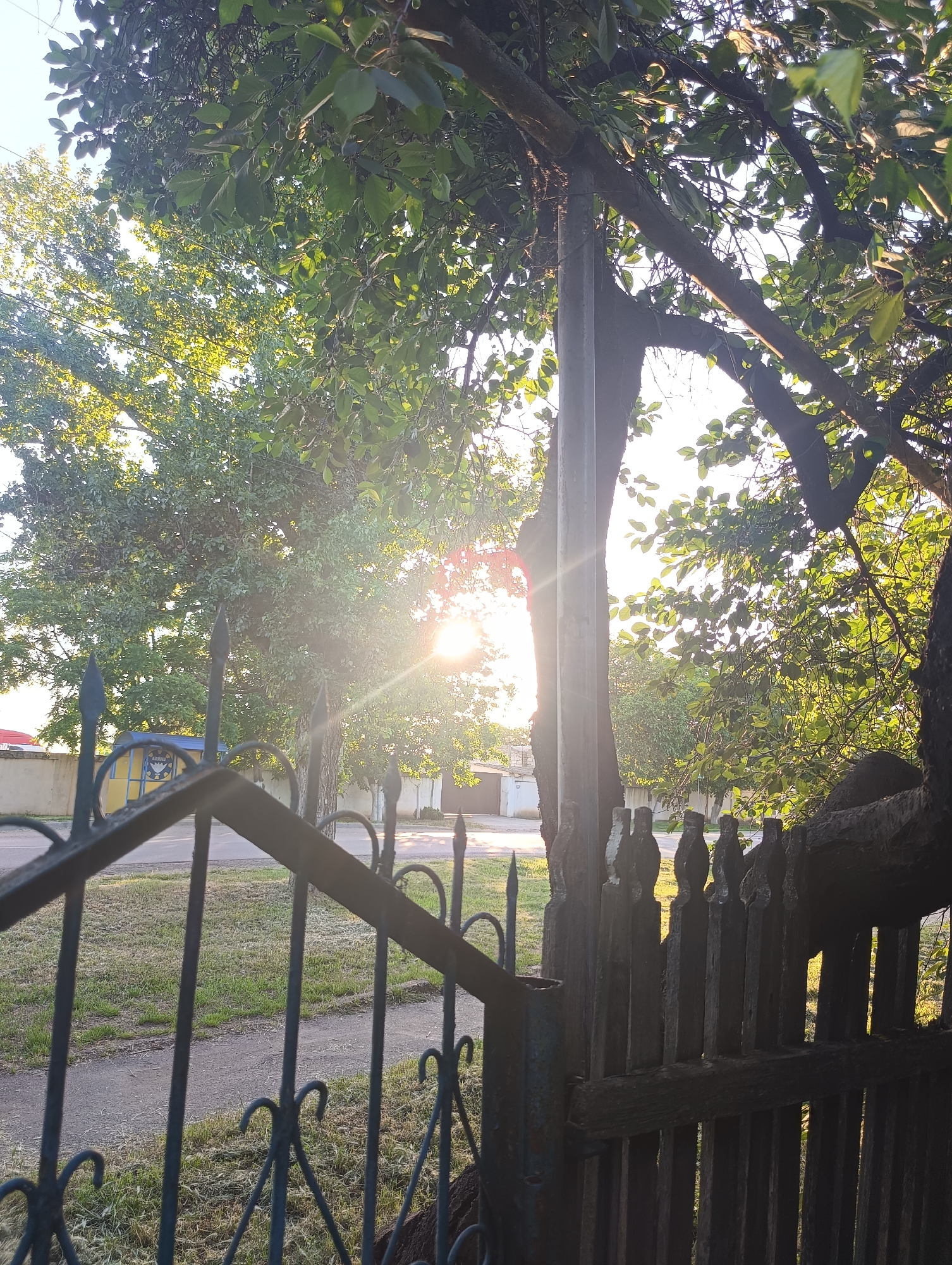 The image displays an outdoor scene in the city of Unknown, Unknown, illuminated by strong natural sunlight, indicative of either early morning or late afternoon. A significant sunburst and lens flare are present in the mid-left and upper right quadrants, partially obscured by foliage. In the immediate foreground, a dark, angled metal fence with vertical bars, decorative spikes, and curved elements occupies the lower left. To its right, a dark, weathered wooden picket fence, featuring vertical slats with carved tops, forms part of the barrier. A dark, vertical pole stands directly behind the metal fence on the left side.
Beyond the fence line, a stretch of dry, green grass is visible, transitioning into a paved road or path that extends horizontally across the midground. The background is predominantly filled with dense green tree canopies, through which direct sunlight pierces, creating bright highlights. A clear, bright sky is visible in scattered areas above the trees. On the far left, a light-colored building is partially visible, while centrally in the background, a yellow and blue kiosk or small structure with partially obscured Cyrillic text ("Шипка" or similar) is discernable behind the trees and a light-colored wall. No individuals or animals are present in the scene, and no explicit actions are depicted.