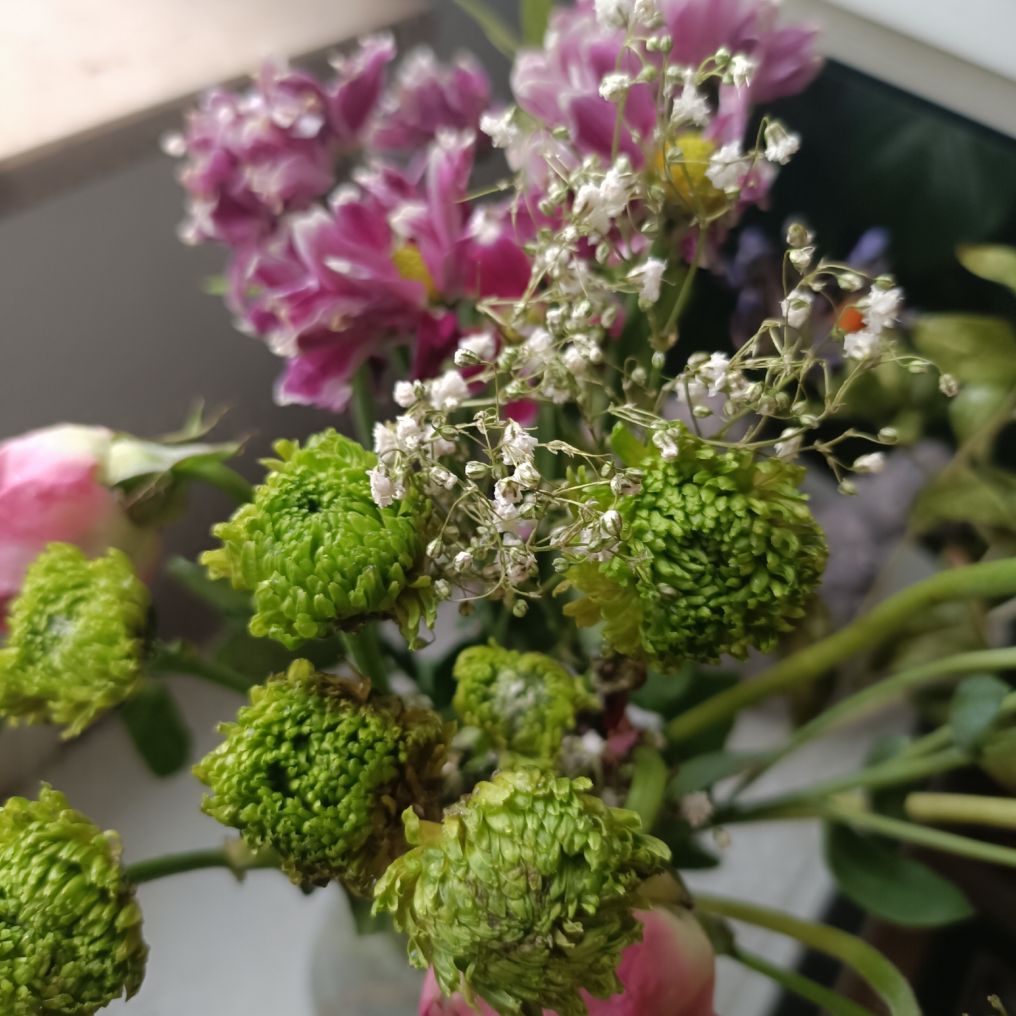A close-up, high-angle shot captures a bouquet of flowers, predominantly green chrysanthemums and pink asters, arranged in a vase. The flowers are in the foreground, with a blurred background suggesting an indoor setting, possibly a windowsill in Rüsselsheim am Main, Germany. The lighting is soft and diffused, creating a gentle ambiance. The green chrysanthemums, with their tightly clustered petals, appear to be the focal point, while the delicate white baby's breath flowers and the larger pink asters add texture and color contrast. The overall impression is one of natural beauty and tranquility, with no people or discernible actions present.