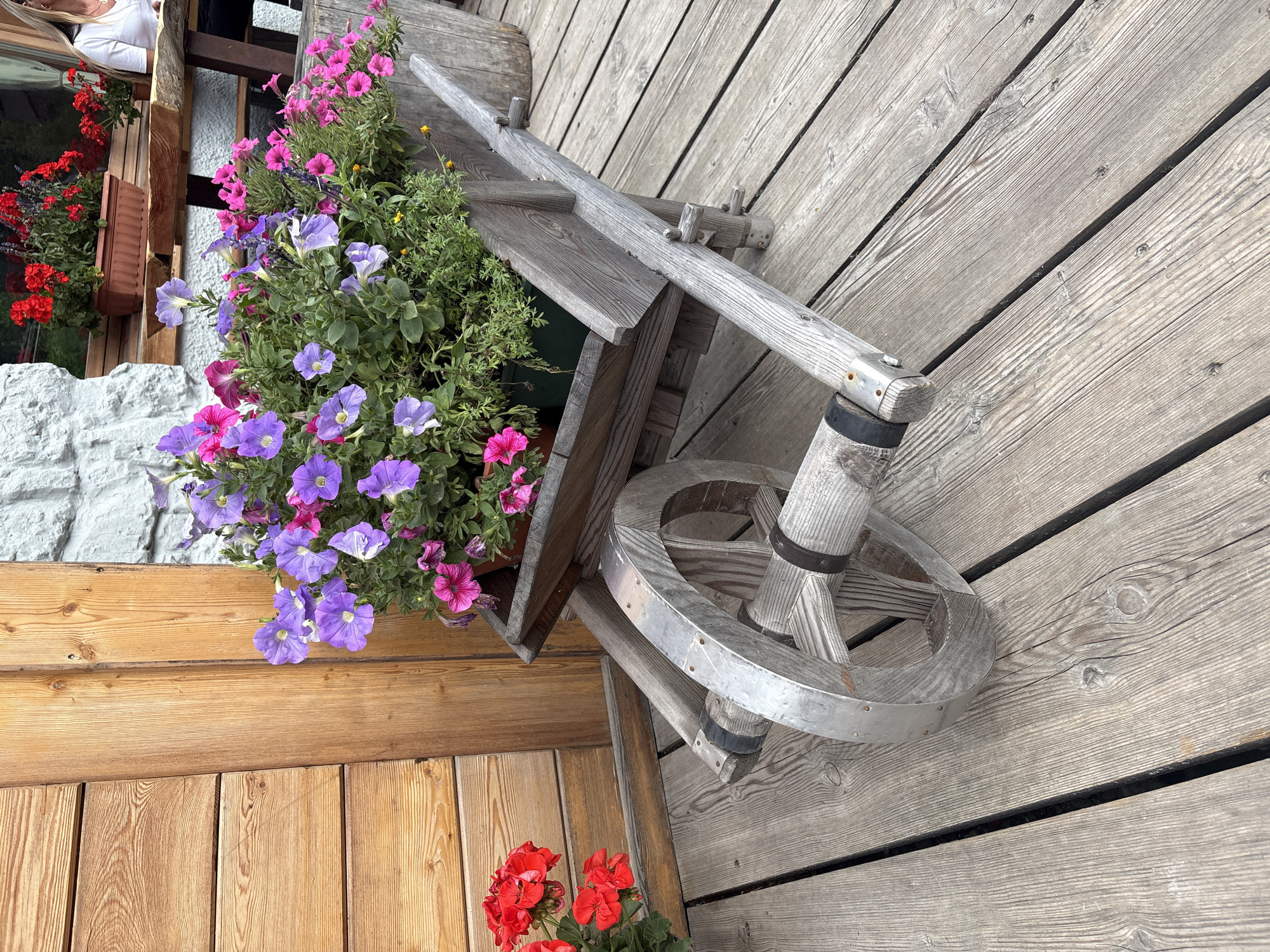 In a picturesque outdoor setting in Auronzo di Cadore, Italy, a rustic wooden wheelbarrow serves as a charming planter. The wheelbarrow, with its weathered wood and metal-banded wheel, is filled with a vibrant assortment of purple and pink petunias, their delicate blooms cascading over the sides. To the left of the wheelbarrow, a cluster of bright red geraniums adds another pop of color. The scene is set on a weathered wooden deck, with a rustic wooden door to the left and a stone wall in the background. In the distance, a woman is seated at a wooden table, adding a touch of human presence to the idyllic environment.