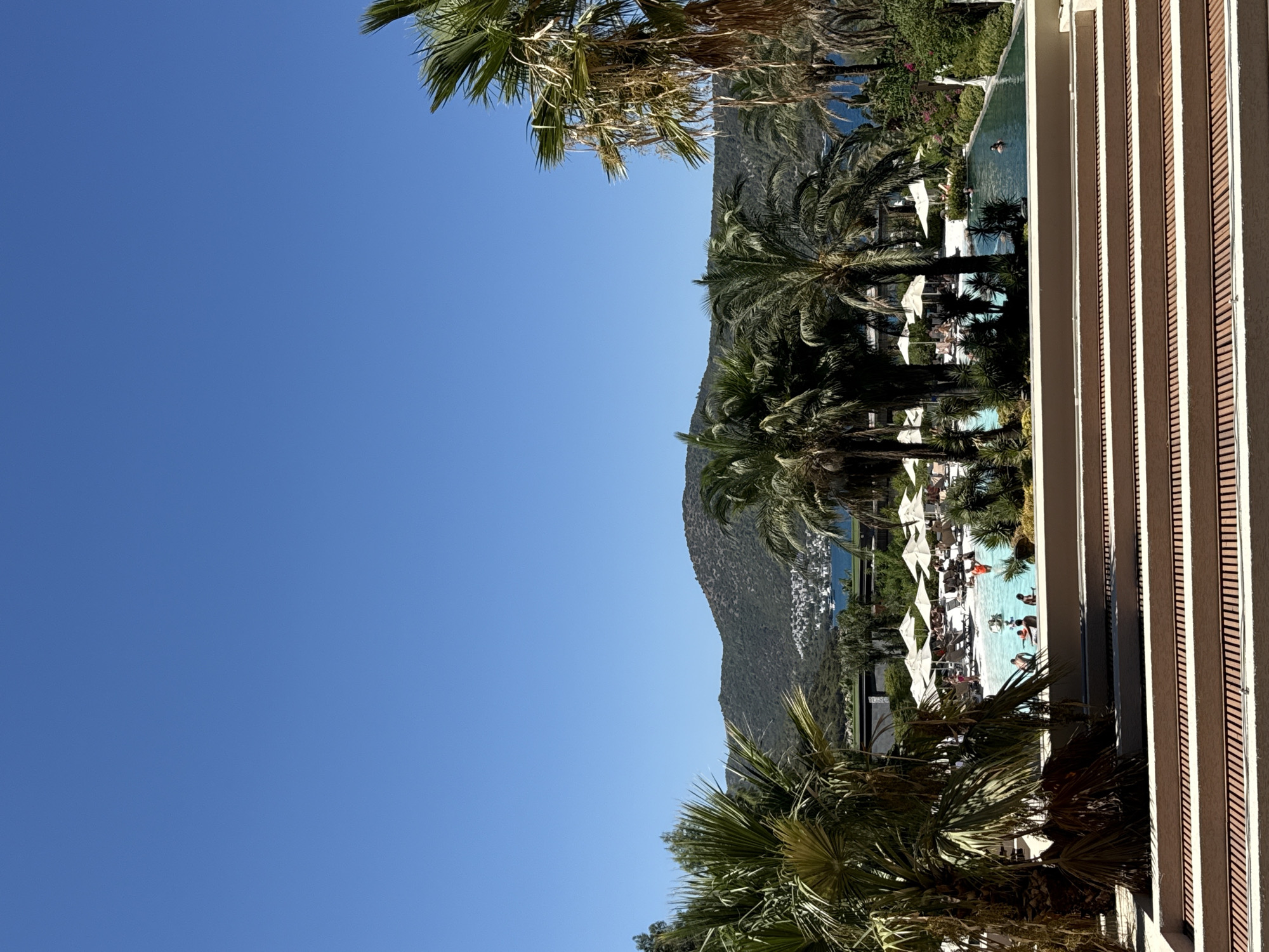 The image depicts a vibrant resort scene in Bodrum, Turkey, under a clear blue sky. In the foreground, a series of tiered, light-colored steps with a slatted surface lead down towards a lush, green landscape. Beyond the steps, a spacious, irregularly shaped swimming pool is filled with people enjoying the water. Several lounge chairs and white umbrellas are scattered around the pool, offering shaded relaxation spots. Tall, mature palm trees with dense fronds frame the pool area and the surrounding greenery, adding to the tropical ambiance. In the mid-ground, beyond the pool, is the clear blue water of the sea, dotted with a few boats. In the background, a verdant, tree-covered hill rises, with a cluster of white buildings nestled along its lower slopes, characteristic of Bodrum's picturesque coastal architecture. The overall impression is one of a luxurious and relaxing vacation destination.
