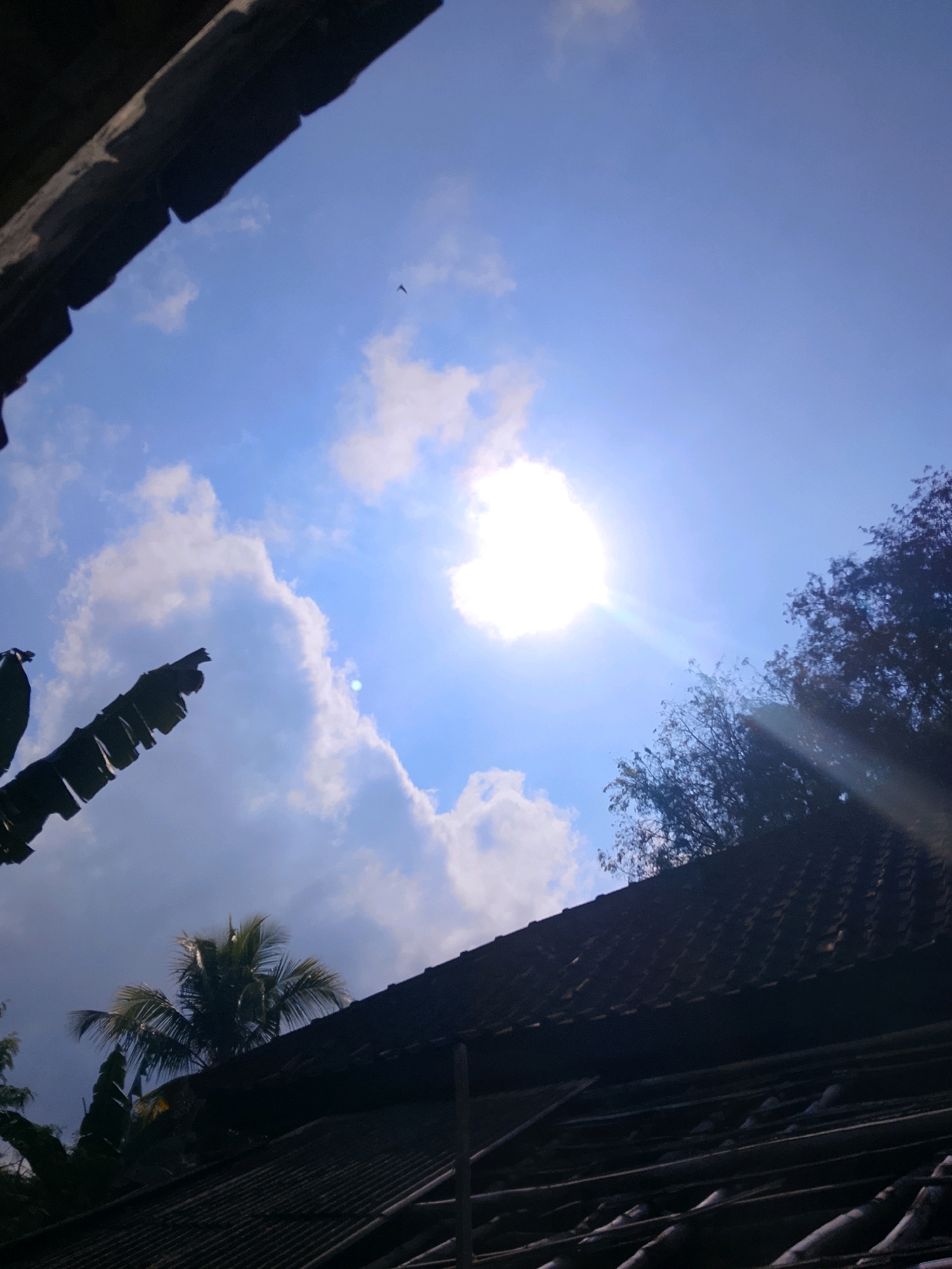 A low-angle shot of a bright sun shines through clouds in a blue sky, casting light rays downwards. In the foreground, the dark, weathered roof of a building is visible, with some wooden beams supporting it. To the left, a large, dark green banana leaf juts into the frame. In the mid-ground, lush green palm trees are partially visible. To the right, the dark silhouette of trees with dense foliage stands against the sky. A single bird is in flight in the upper left quadrant of the image. The overall scene suggests an outdoor environment, possibly in a tropical or subtropical region, with a mix of man-made structures and natural elements.
