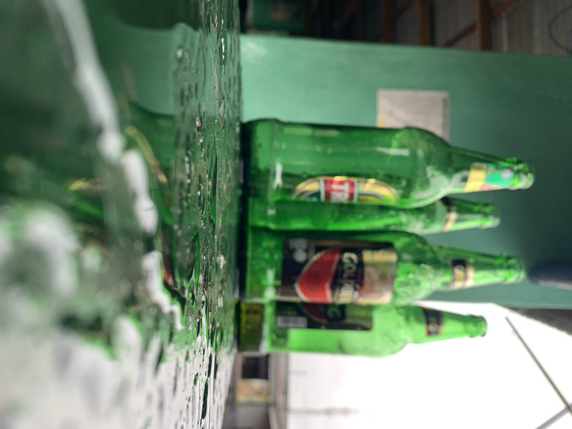 The image captures a close-up, vertically oriented view of several green glass bottles, likely beer bottles, lying horizontally on a textured, wet surface. The immediate foreground on the left is out of focus, highlighting numerous water droplets and reflections that create a glistening, tactile texture.
Further into the frame, a row of at least four green bottles becomes more distinct. The bottles appear to be empty. On one bottle, the word "GOLD" is clearly visible on its label, which features a prominent red and gold design. Another bottle exhibits a label with bands of yellow, red, and green. The water droplets extend onto the surfaces of these bottles, suggesting condensation or recent exposure to moisture.
In the background, a flat green wall is visible, hinting at an indoor or covered setting. Above this wall, part of a roof structure or ceiling can be discerned. The overall lighting is soft and diffused, making the specific time of day indeterminate. The scene evokes a casual environment, possibly a bar, restaurant, or social gathering spot in New Stadium, Nigeria, where beverages have been consumed. No people are visible, and the activity appears to be the aftermath of drinking.