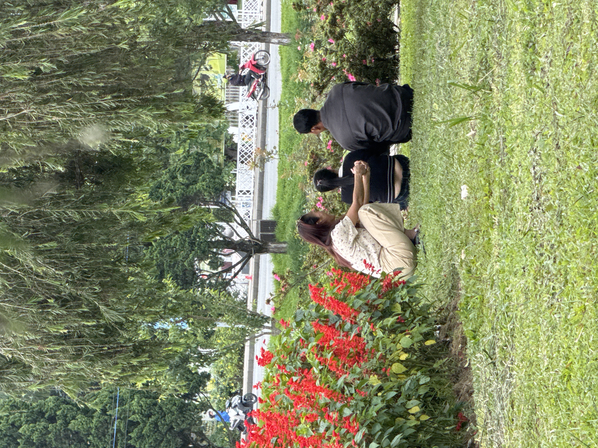 The image depicts a serene outdoor scene in Phường Xuân Hương, Đà Lạt, Vietnam, where three individuals are seated on a grassy area beneath the canopy of a large weeping willow tree. In the foreground, a woman with long dark hair, wearing a light-colored floral top and beige pants, is crouched down, facing away from the camera and holding hands with a younger person with dark hair tied in a ponytail, who is wearing a black top and blue jeans. Beside them, a man with short dark hair, dressed in a dark grey long-sleeved shirt and dark pants, is also seated facing away from the camera.
Behind the seated trio, a vibrant bed of red salvia flowers forms a lush border, their tall spikes of blooms creating a striking contrast against the surrounding greenery. Further in the background, a street is visible with several motorcycles. On the left, a person in a blue jacket rides a white motorcycle, while on the right, another person rides a red motorcycle. A white decorative fence runs along the side of the street, behind which are various trees and foliage, suggesting a well-maintained park or public space. The overall atmosphere is one of quiet relaxation and shared companionship amidst the natural beauty of Đà Lạt.