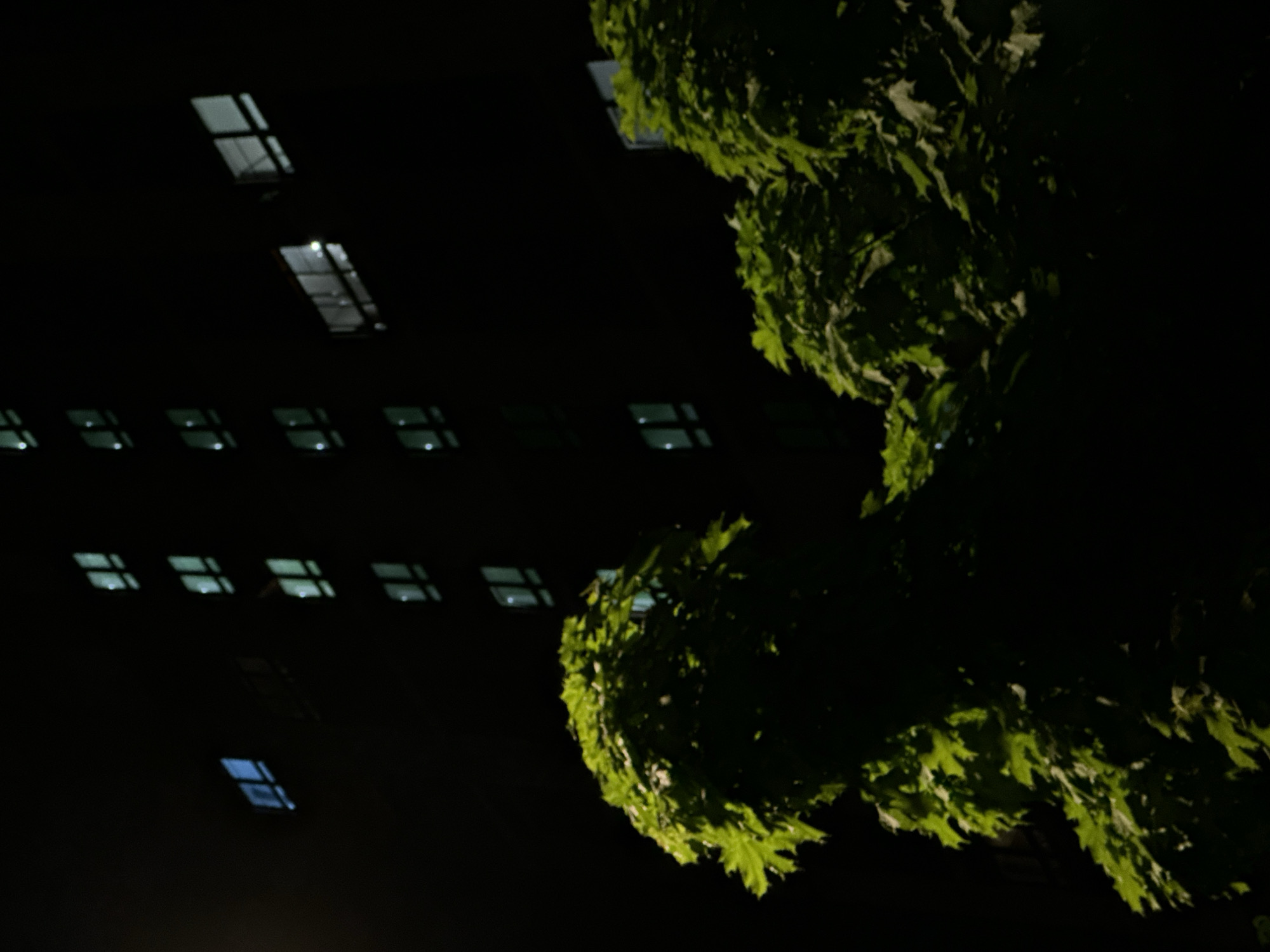 The image presents a night scene in what appears to be an urban setting. A tall, dark building with multiple illuminated windows is partially visible on the left side of the frame. To the right, a tree with dense, green foliage is illuminated, possibly by streetlights. The overall darkness suggests it is nighttime. The location of Moscow, Russia is not determinable from the image content. There are no people visible.