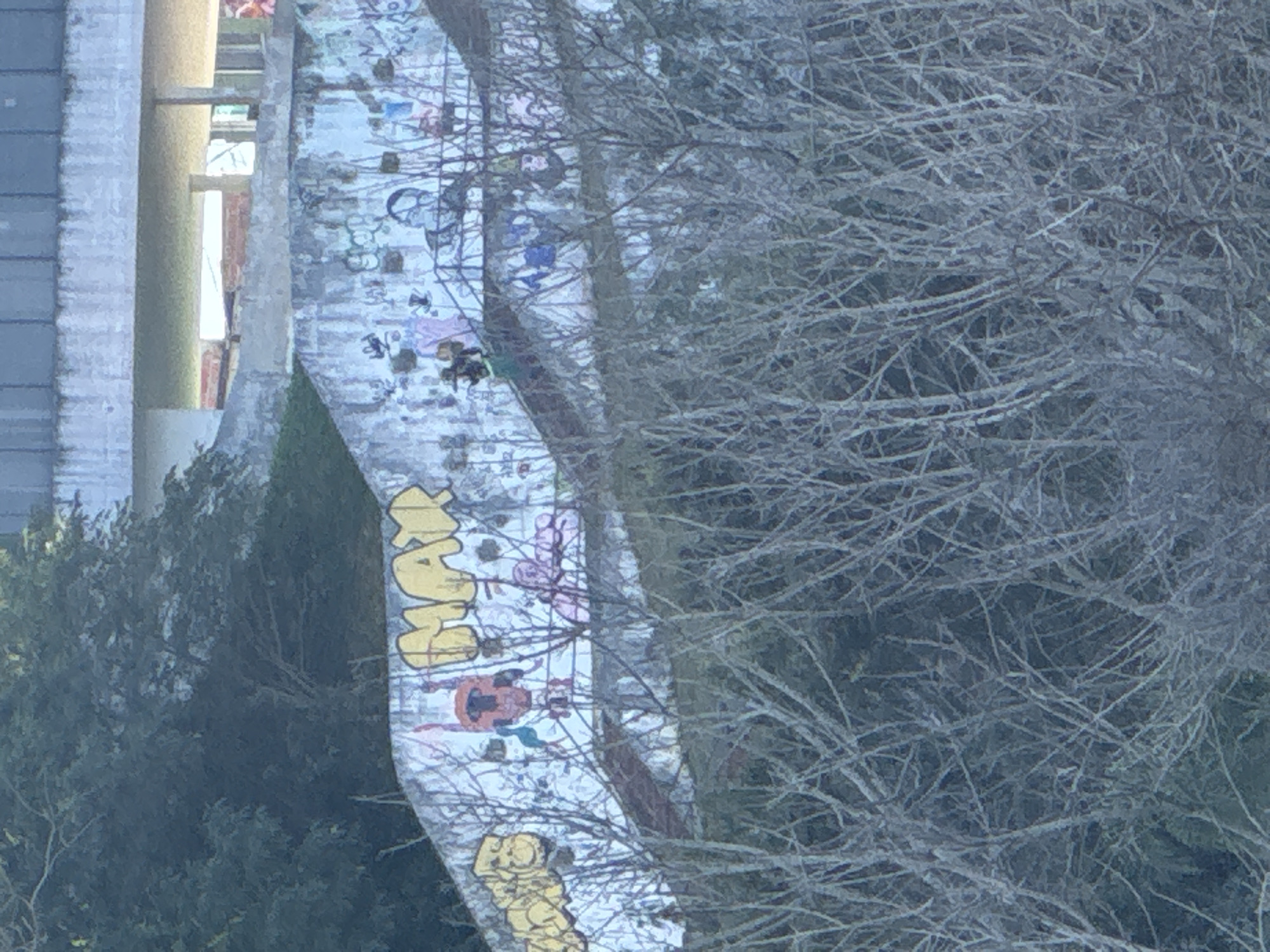 The image shows a curved concrete wall covered in graffiti, with bare tree branches in the foreground and on the right. The graffiti features cartoonish figures, abstract designs, and text. Some of the graffiti is colorful, while other parts are faded or obscured by the branches. One prominent piece of text in yellow block letters appears to read "WAM". There are also elements that resemble a character in a yellow jumpsuit and possibly musical instruments.
The scene appears to be outdoors, likely in a park or an urban area with greenery. The bare branches suggest it might be autumn or winter. The lighting suggests it is daytime. The presence of graffiti indicates an urban setting, possibly an area known for street art. No specific activities are clearly depicted beyond the static graffiti and the natural elements of trees and a wall. The overall mood is somewhat abstract and perhaps a bit gritty due to the graffiti and bare trees. The location context provided is Niterói, Brazil.