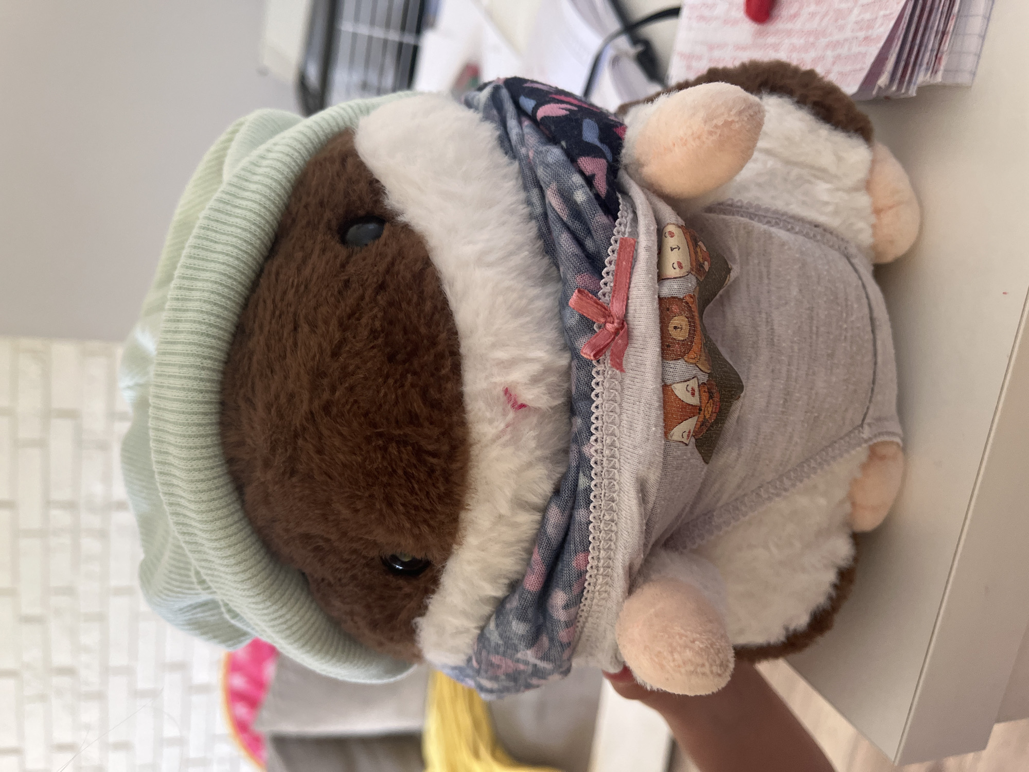 A stuffed hedgehog toy is held in someone's hand. The toy is brown with a white stripe and light pink paws. It is wearing a light green beanie hat, a blue and pink patterned scarf with a pink ribbon, and a light grey shirt with animal pictures on it. The background includes a white shelf, papers, and a glimpse of a colorful rug. The location is unclear, but the setting appears to be indoors.