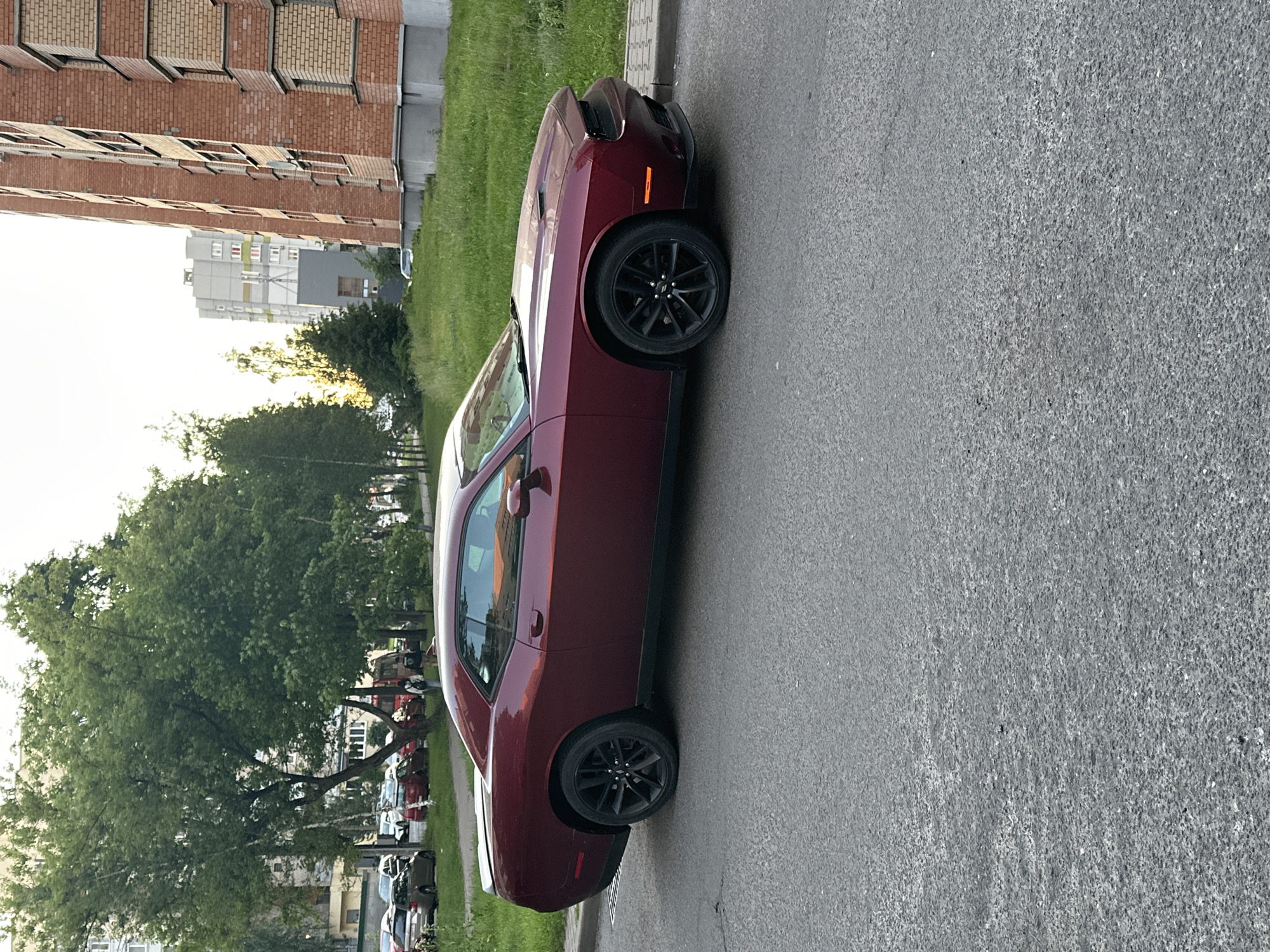 A maroon (dark red) Dodge Challenger car is prominently featured, parked parallel to the curb on the right side of an asphalt road. The car has black multi-spoke wheels. To the left of the car, a narrow strip of green grass separates the road from a sidewalk.
In the background, a tall, brick-clad residential building with numerous windows and balconies dominates the left side of the frame. Further behind it, another multi-story grey and white apartment building is visible. A line of lush green trees runs along the street, partially obscuring additional parked cars in the distance. The foliage suggests a warm season.
The scene is illuminated by natural light, indicative of late afternoon or early evening, often referred to as the golden hour, given the soft, warm glow on parts of the buildings and the car. The sky appears bright and clear.
The car is stationary and no specific human activity is clearly visible in the foreground or midground. A license plate is partially visible on the rear of the Dodge Challenger, but the characters are indistinct. The overall setting depicts an urban residential street scene, consistent with the provided location context of Minsk, Belarus.