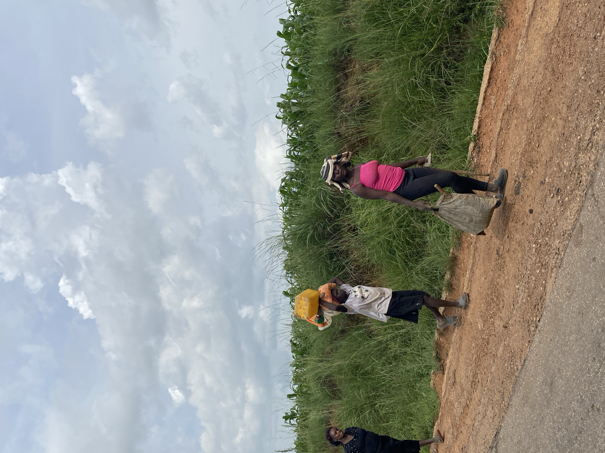In Kuru, Nigeria, under a cloudy sky, three women walk along a dirt road. The woman on the left, wearing a black dress, walks away from the camera. The middle woman carries a yellow container and two sacks of goods on her head, with a red cloth underneath for padding. She wears a light-colored t-shirt and dark shorts, and sandals. The woman on the right, wearing a bright pink tank top and black leggings, carries a large, light-colored sack in her right hand and a wooden stick in her left. She has a striped cloth wrapped around her head. They are walking past a dense field of tall green grass and cornstalks. The road is a reddish-brown dirt, with some gravel and asphalt visible on the left side.
