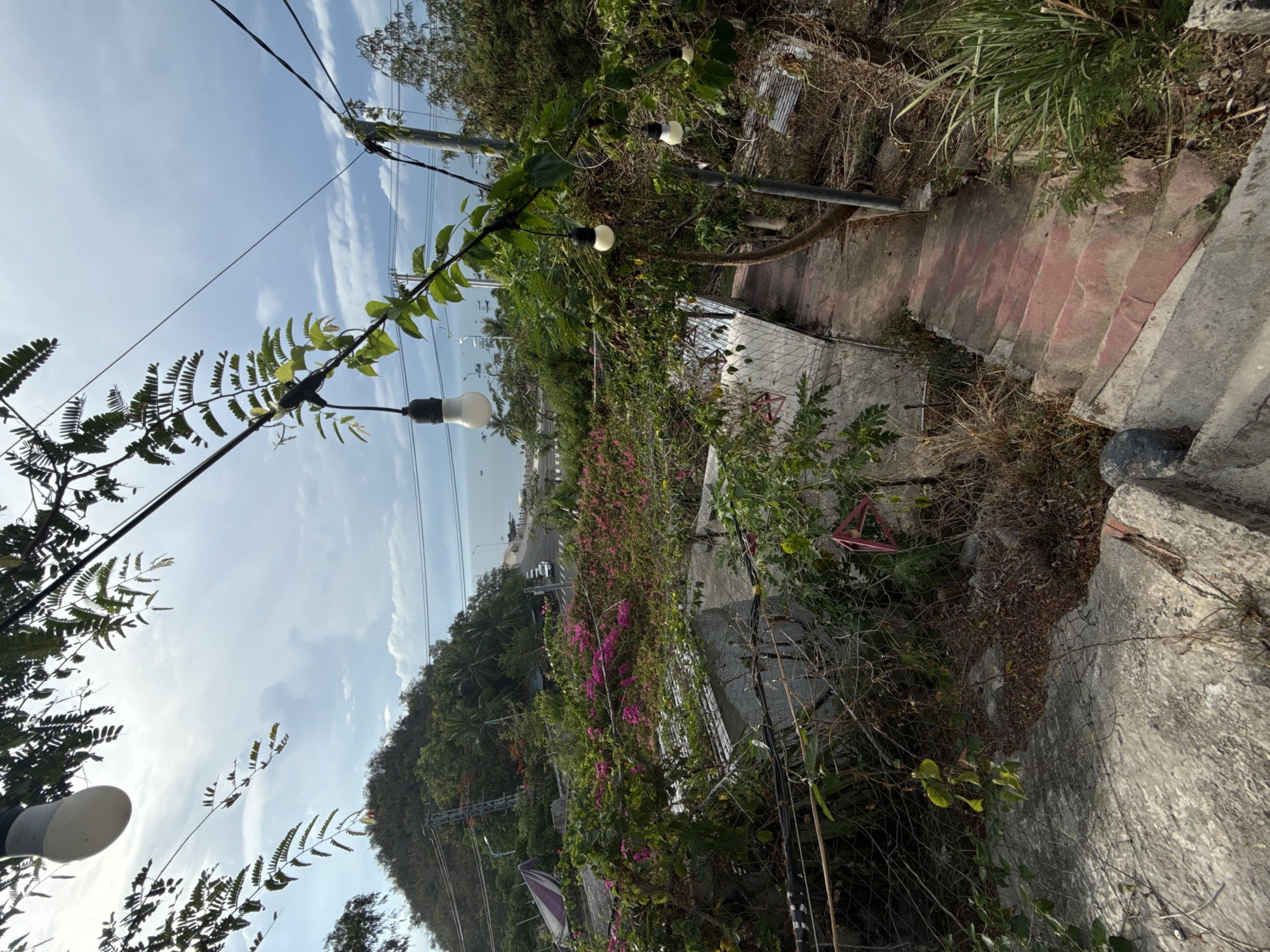 View from a hillside in Bac Nha Trang Ward, Vietnam. A narrow concrete staircase with faded red steps descends alongside a road. Lush vegetation, including bougainvillea, obscures a chain-link fence along the roadside. An overhead string of lights, with bare bulbs, is strung through trees and over the road. Power lines and telephone poles are visible against a blue sky. The road shows light traffic.